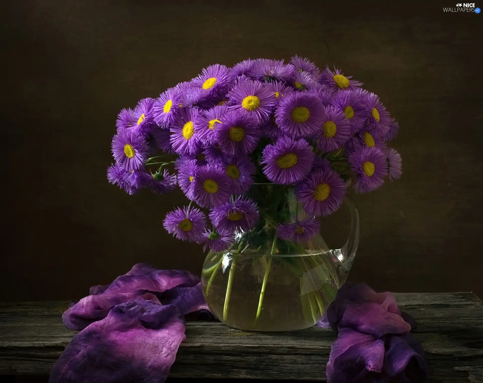 flowers, change, purple