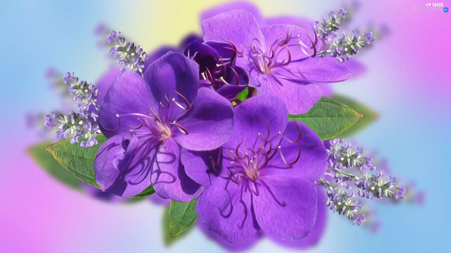 Flowers, Three, purple