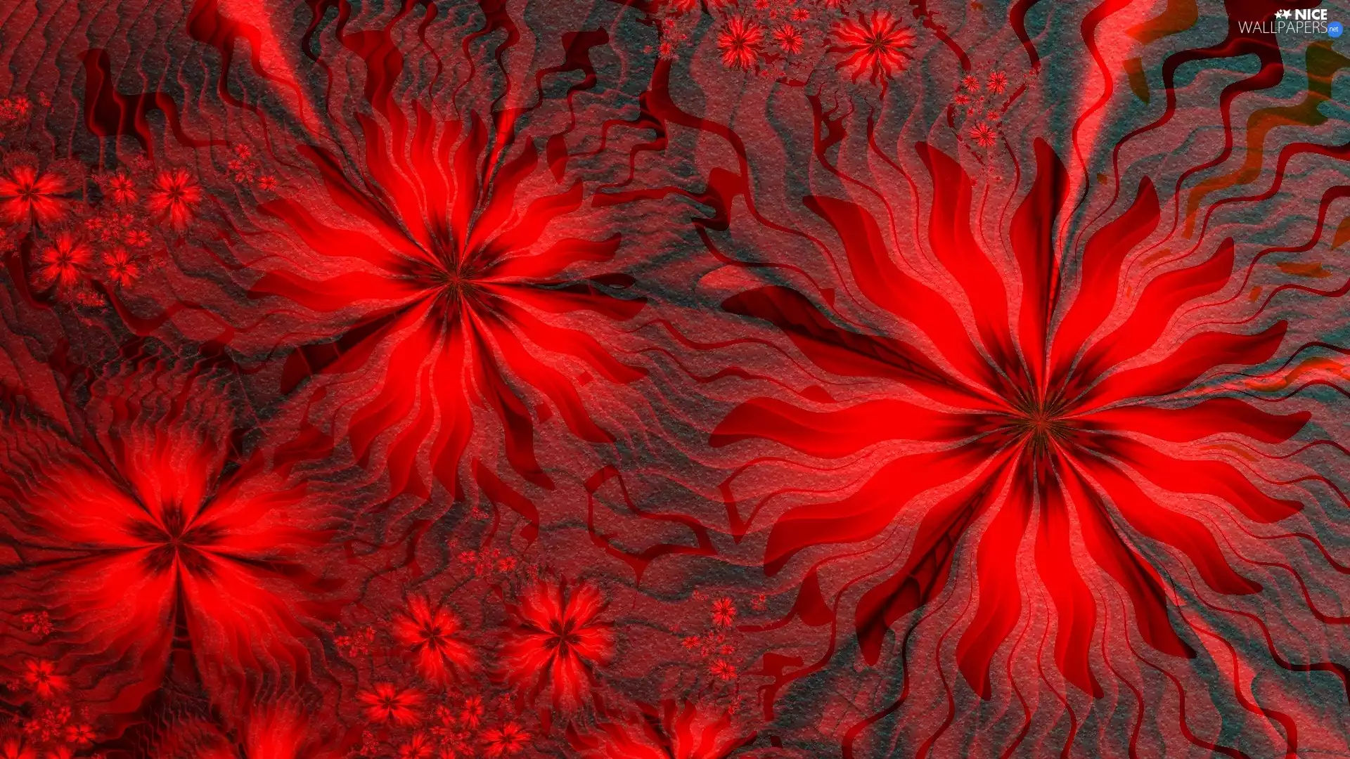 Flowers, texture, Red