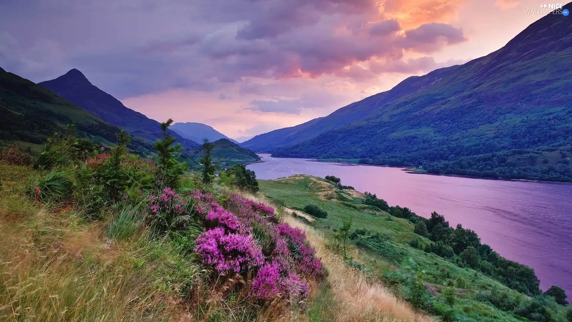 River, green, Flowers, Mountains