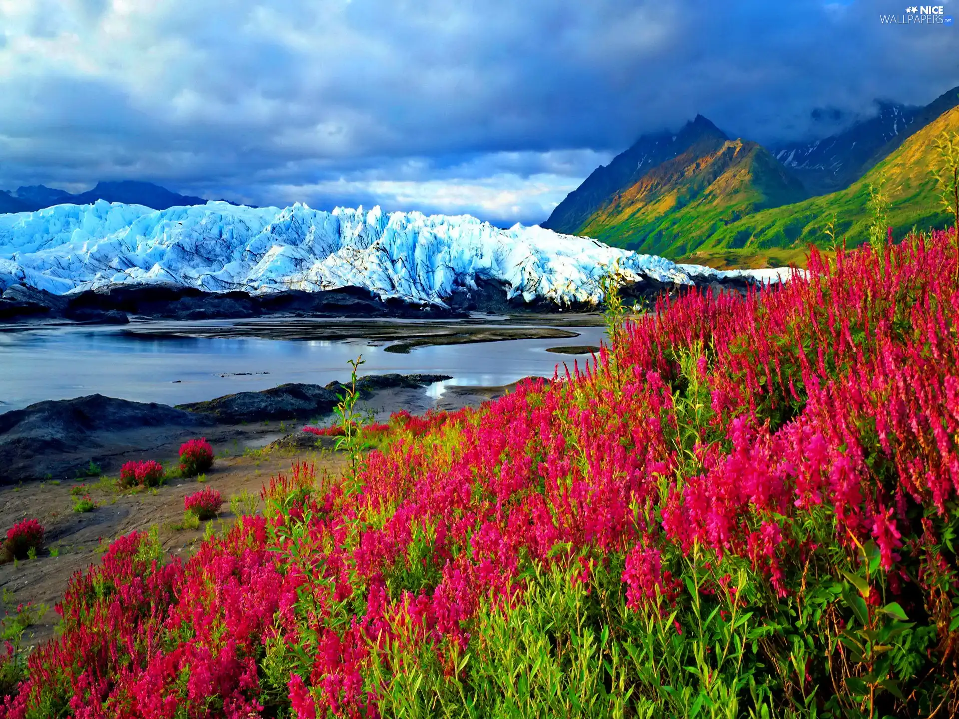 Flowers, Mountains, River