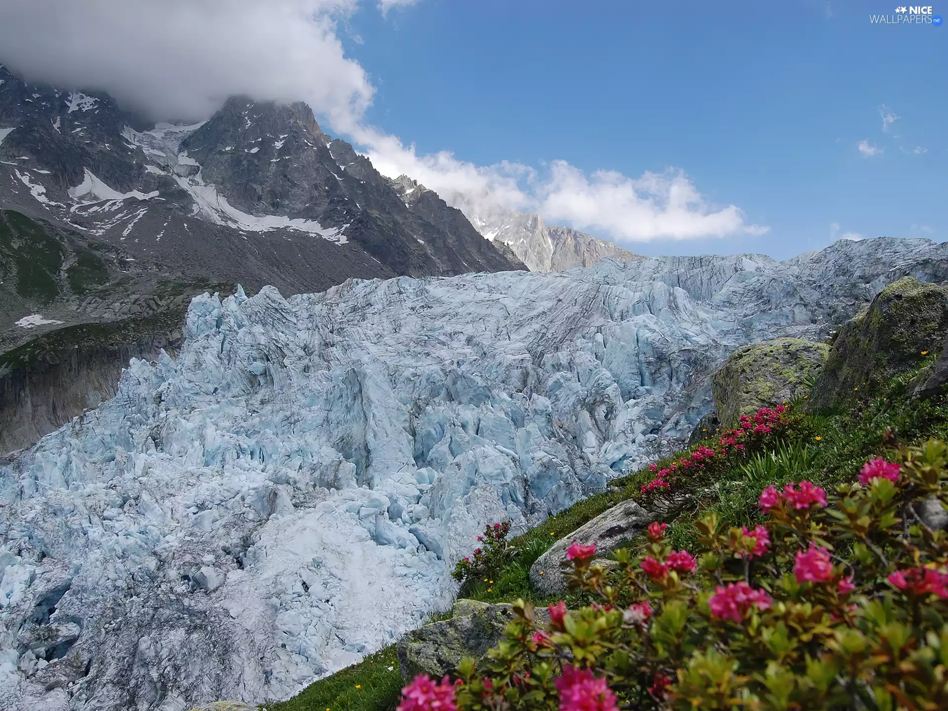 Flowers, Mountains, rocks