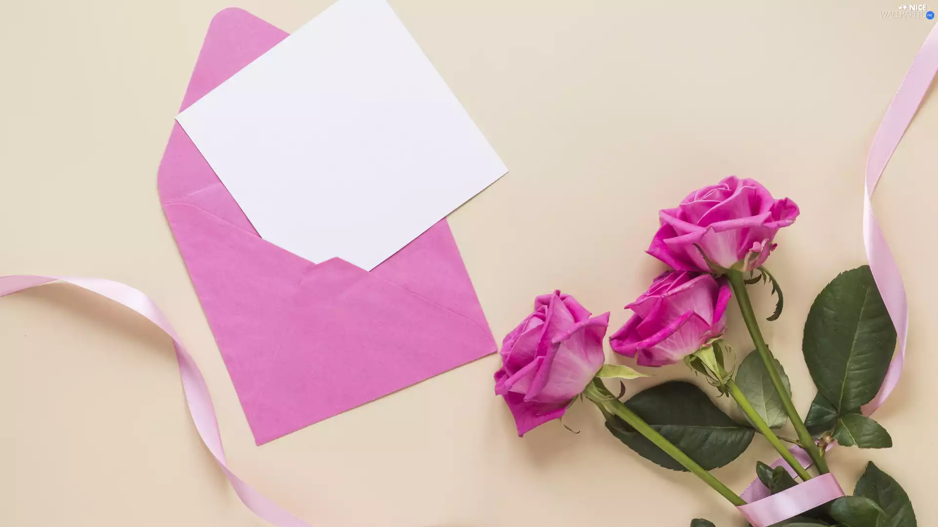 roses, envelope, ribbon, Flowers