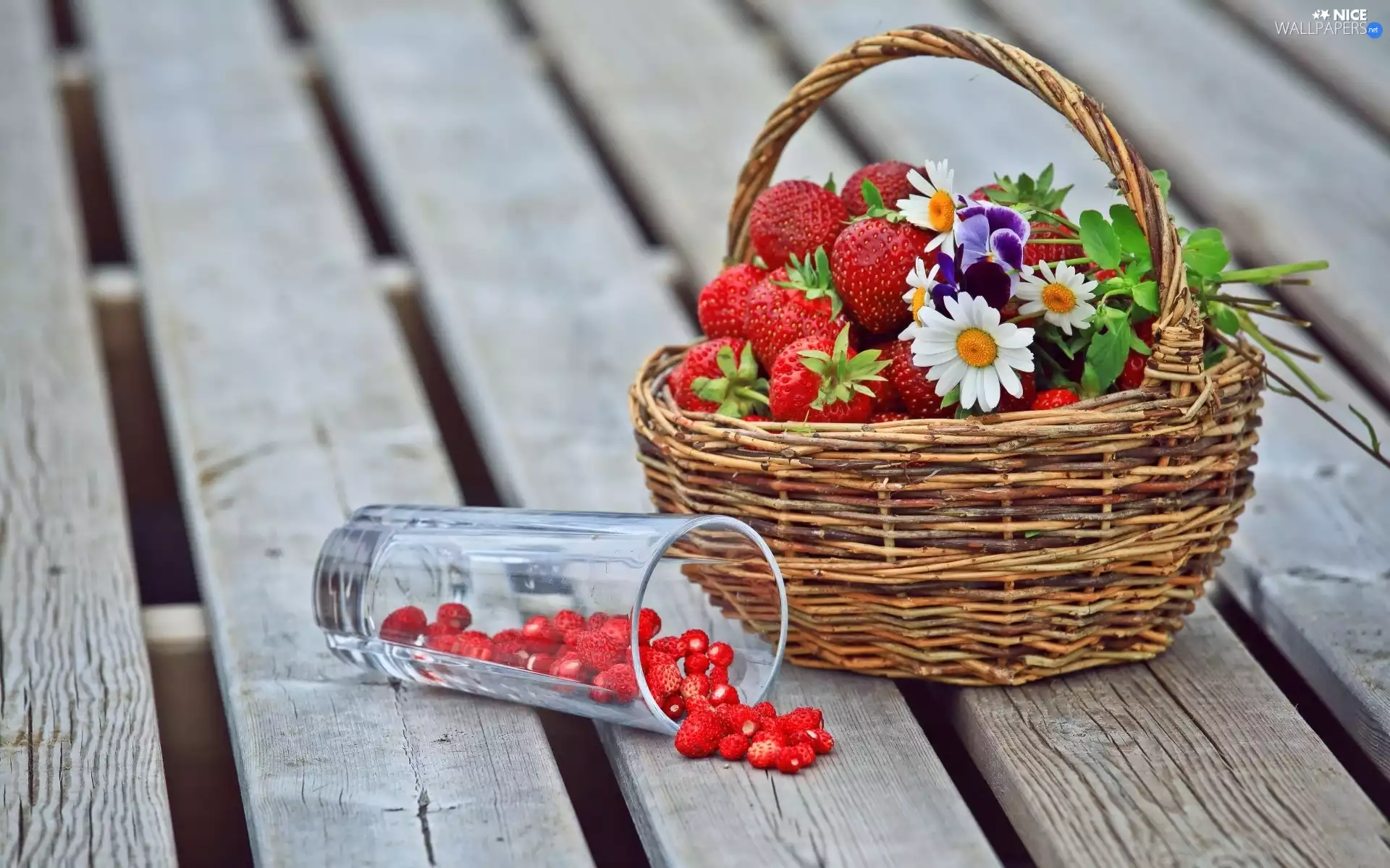 cup, Flowers, strawberries, Strawberries, basket