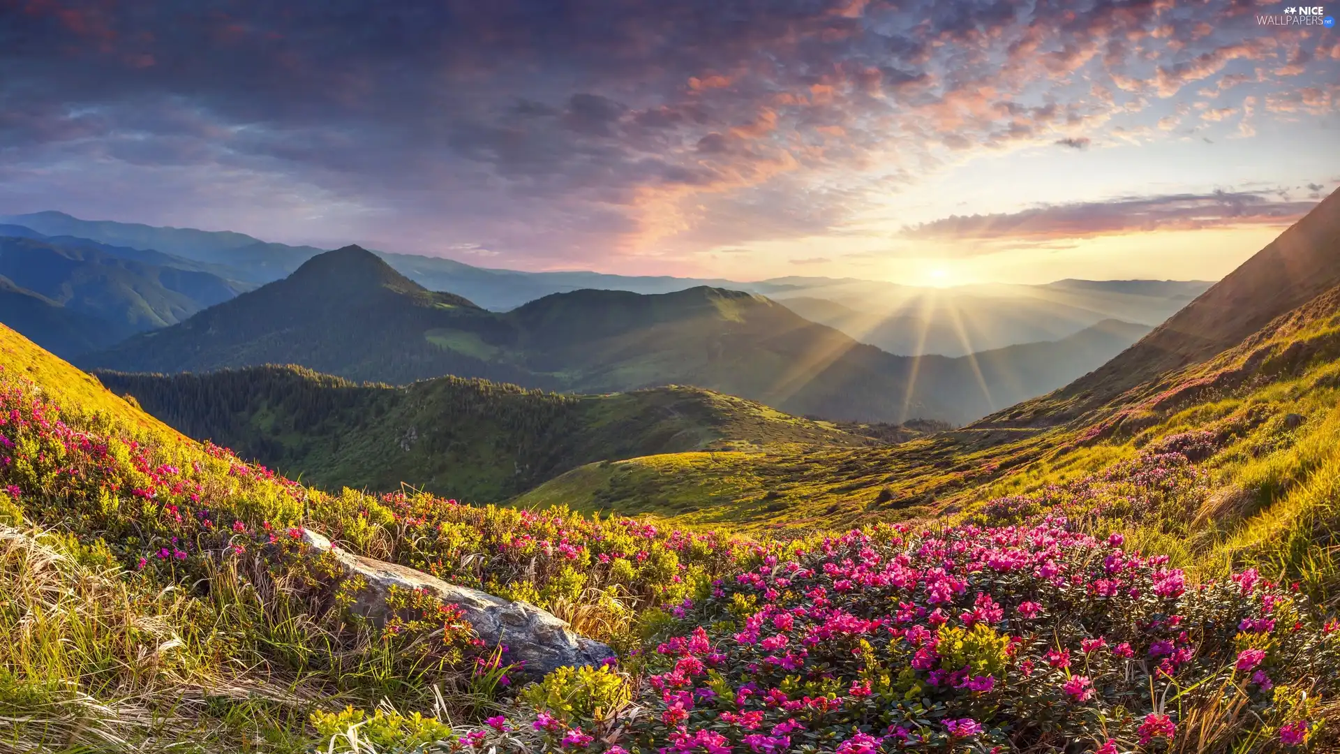 Flowers, Mountains, car in the meadow, Sunrise, grass, clouds