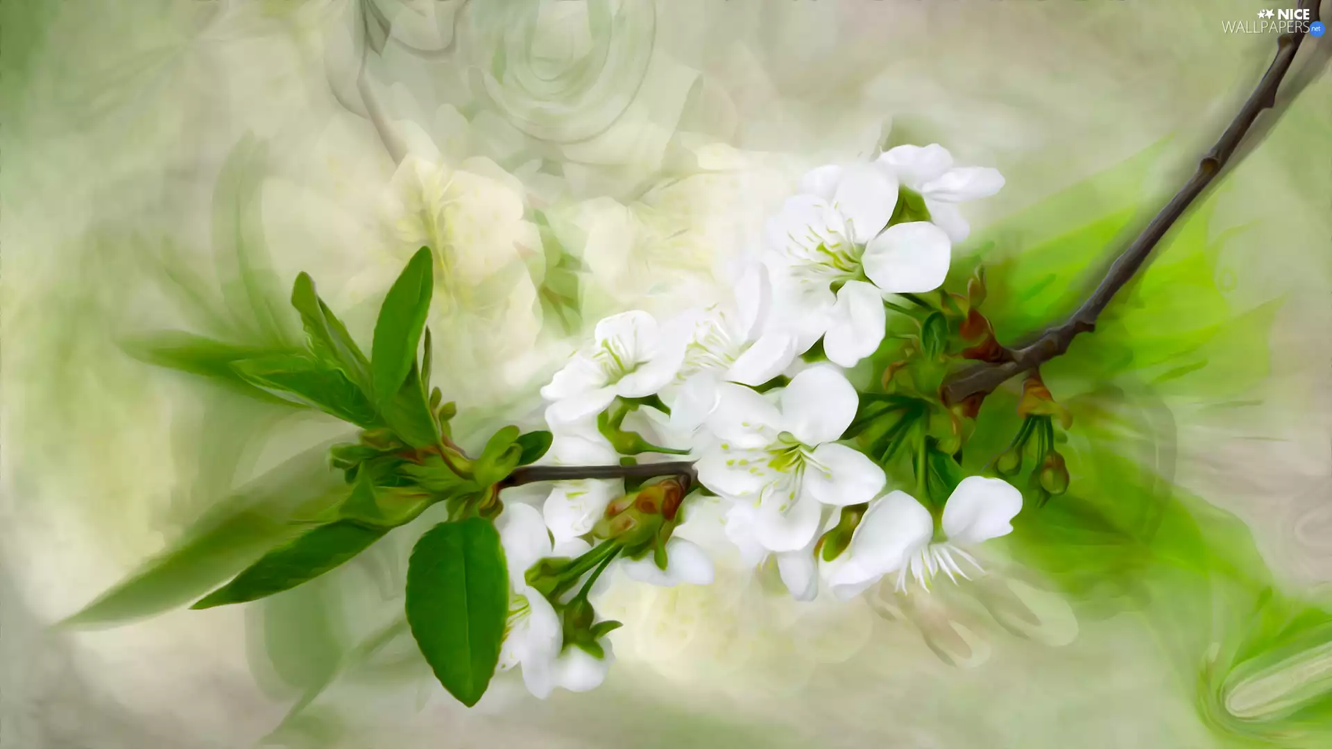 twig, leaves, graphics, Flowers