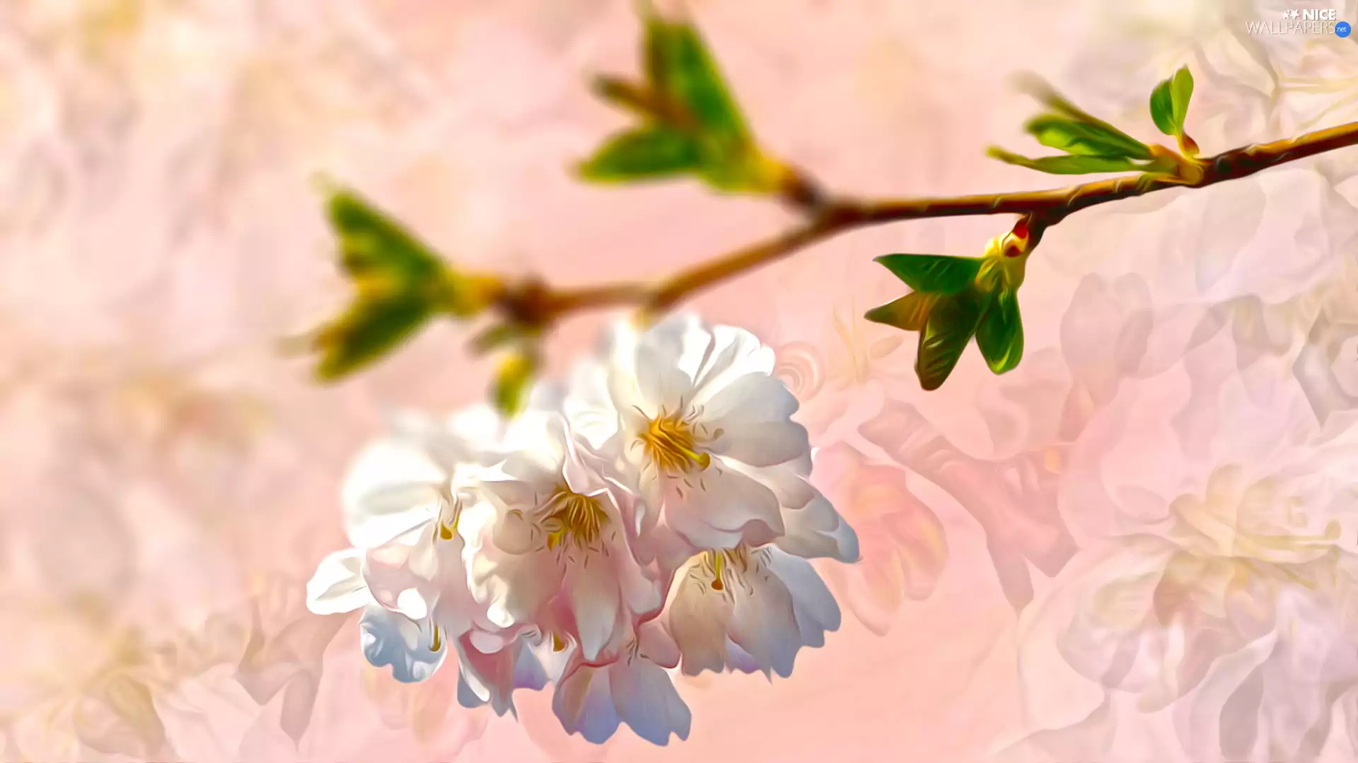 Flowers, graphics, twig