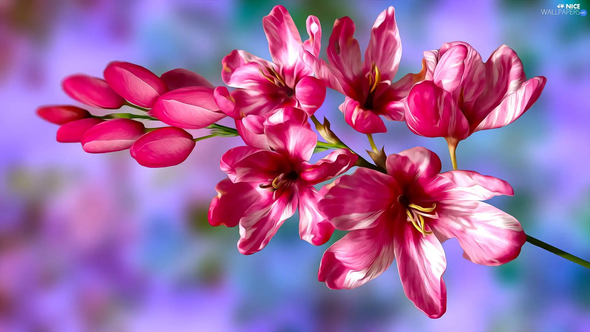 graphics, Flowers, twig, Pink-White