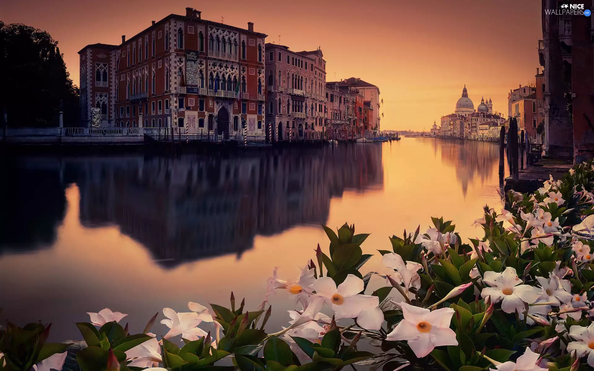 Houses, Flowers, Venice, canal, Italy