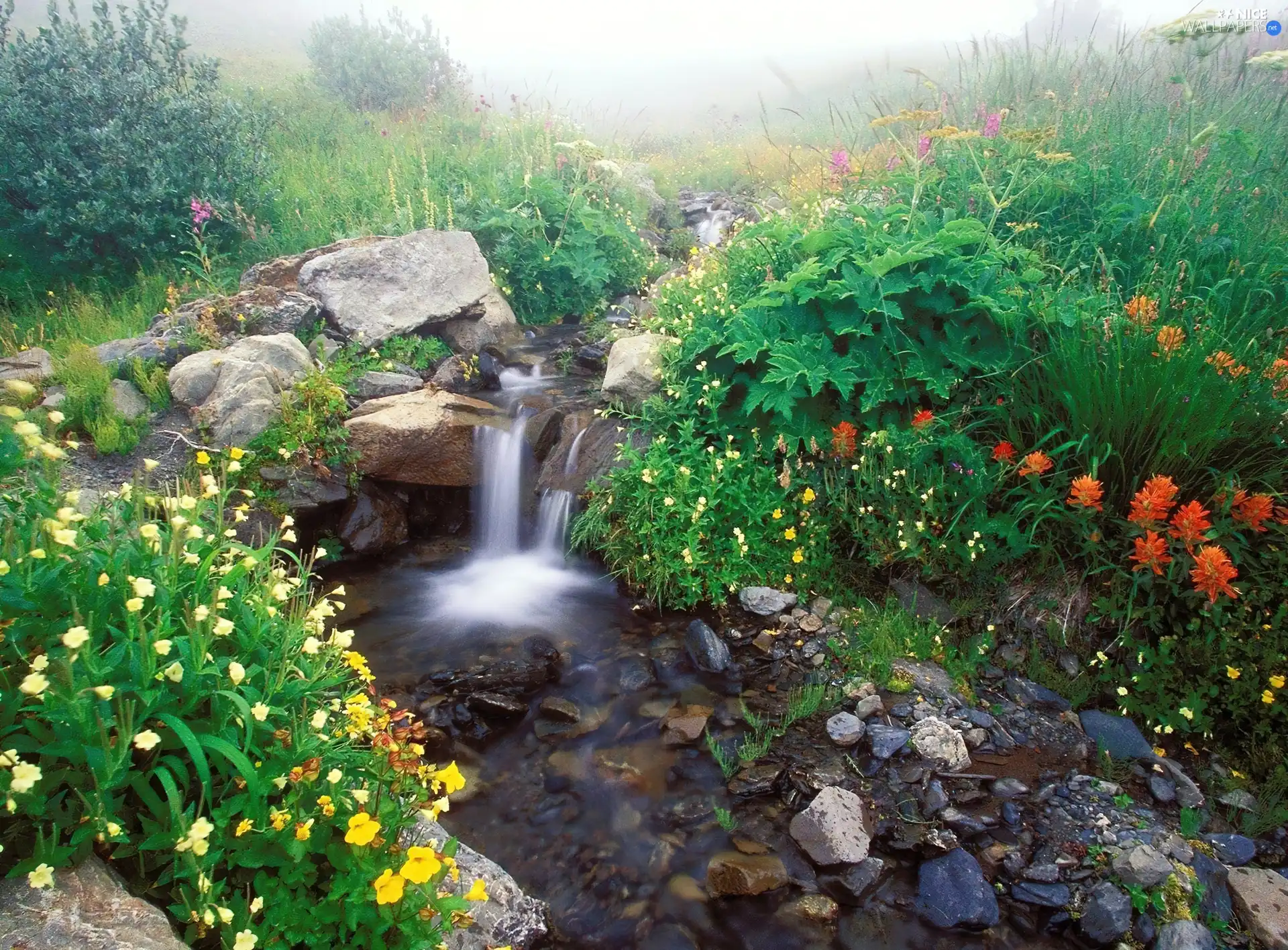 waterfall, stone, Flowers, stream