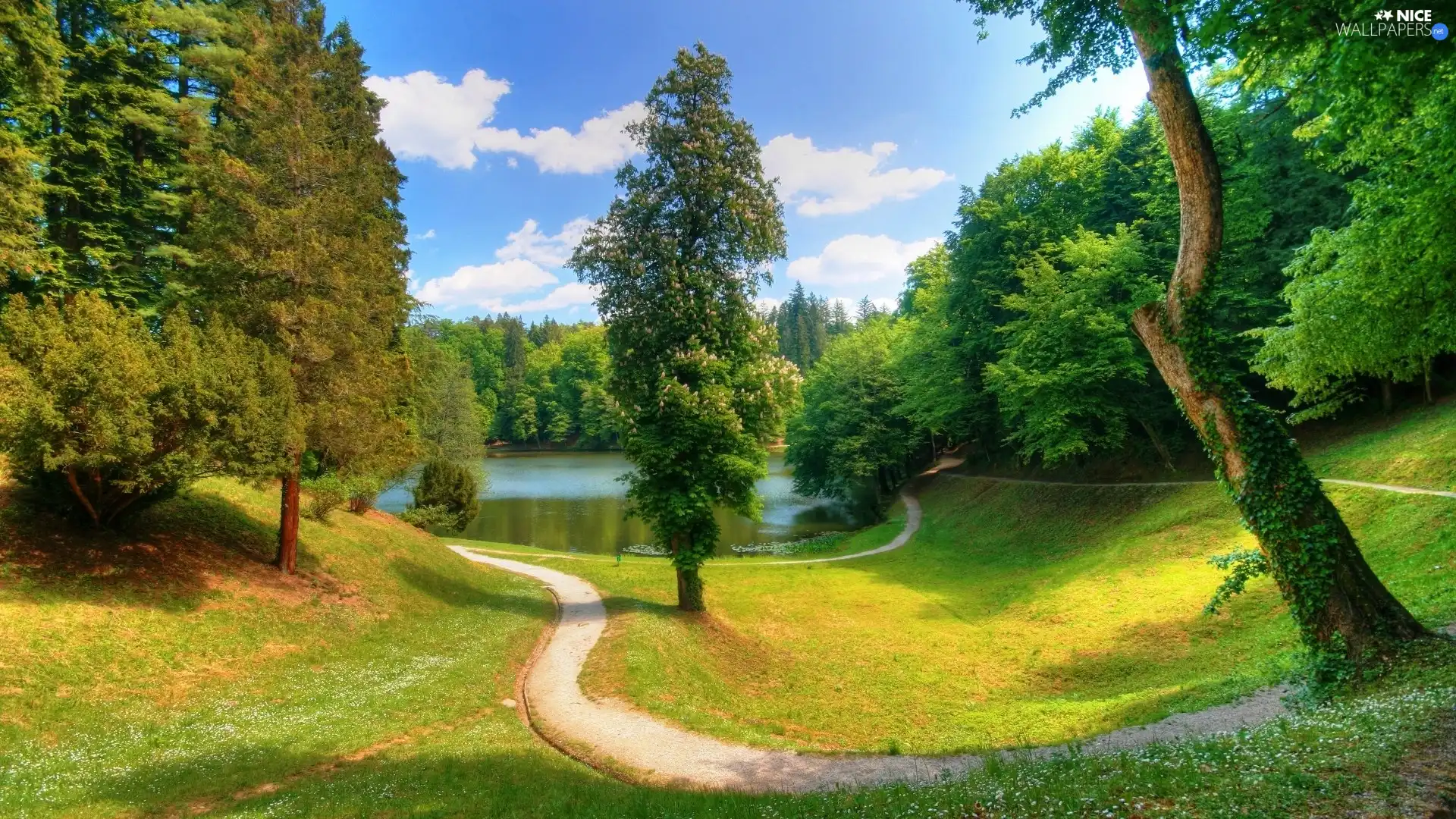 Way, viewes, Flowers, trees