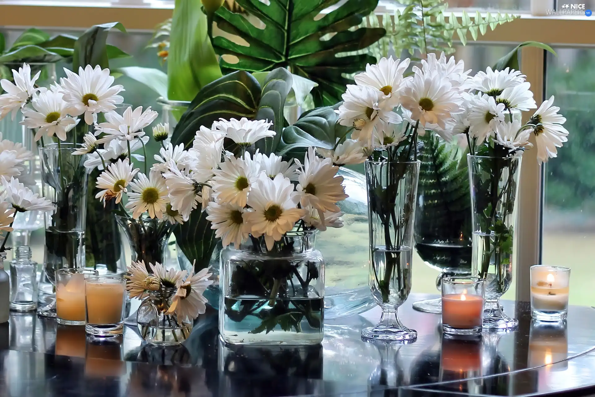 White, Flowers