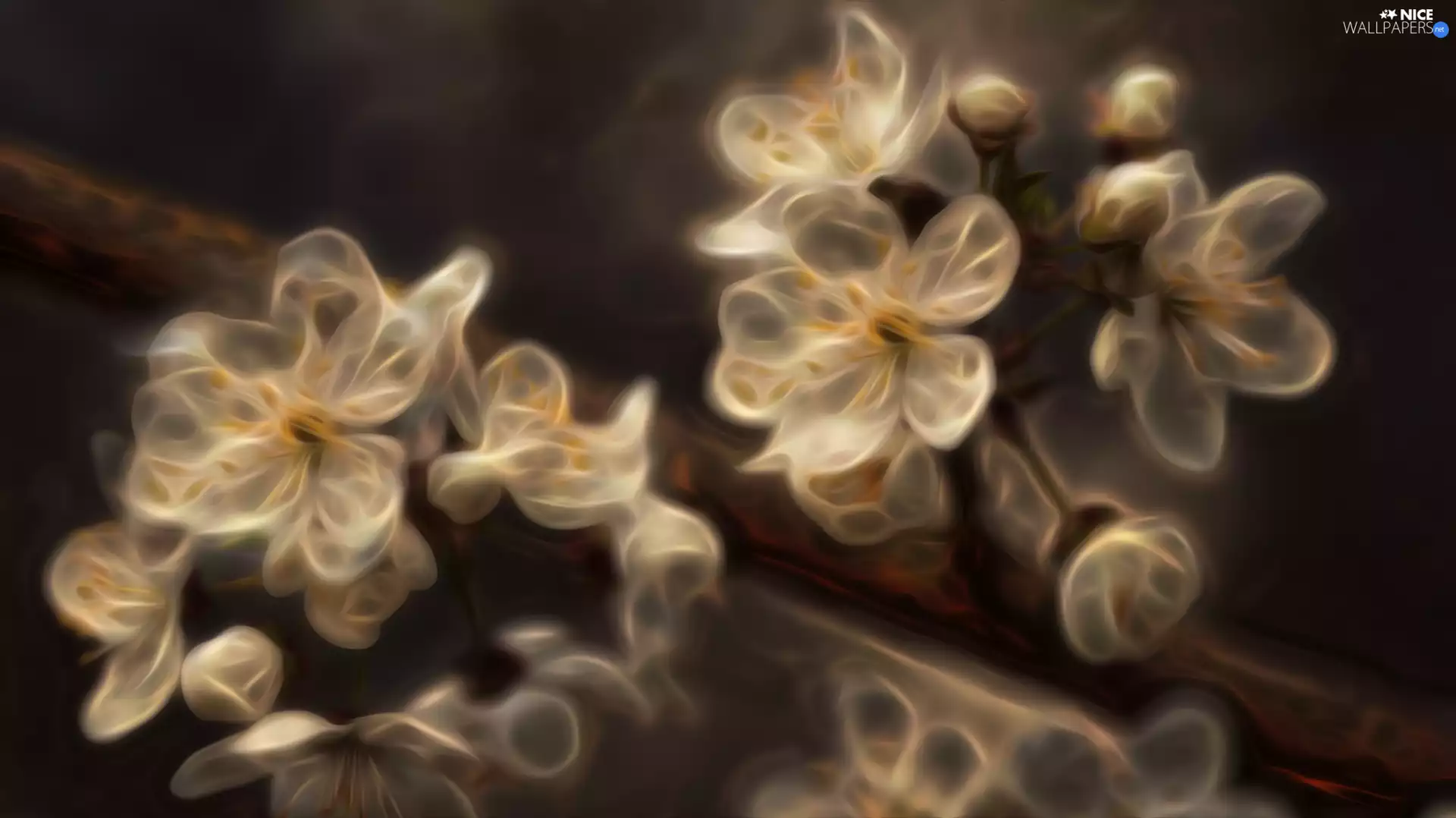White, twig, Fractalius, Flowers