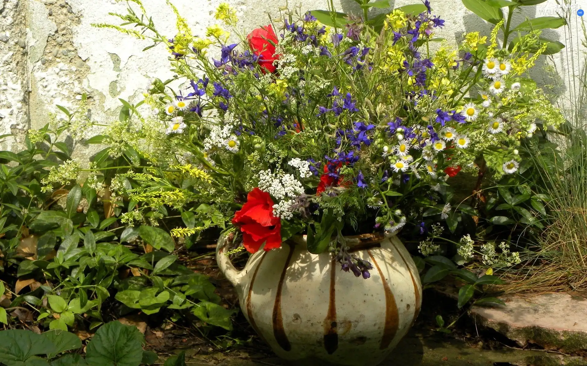 flowers, bouquet, wild