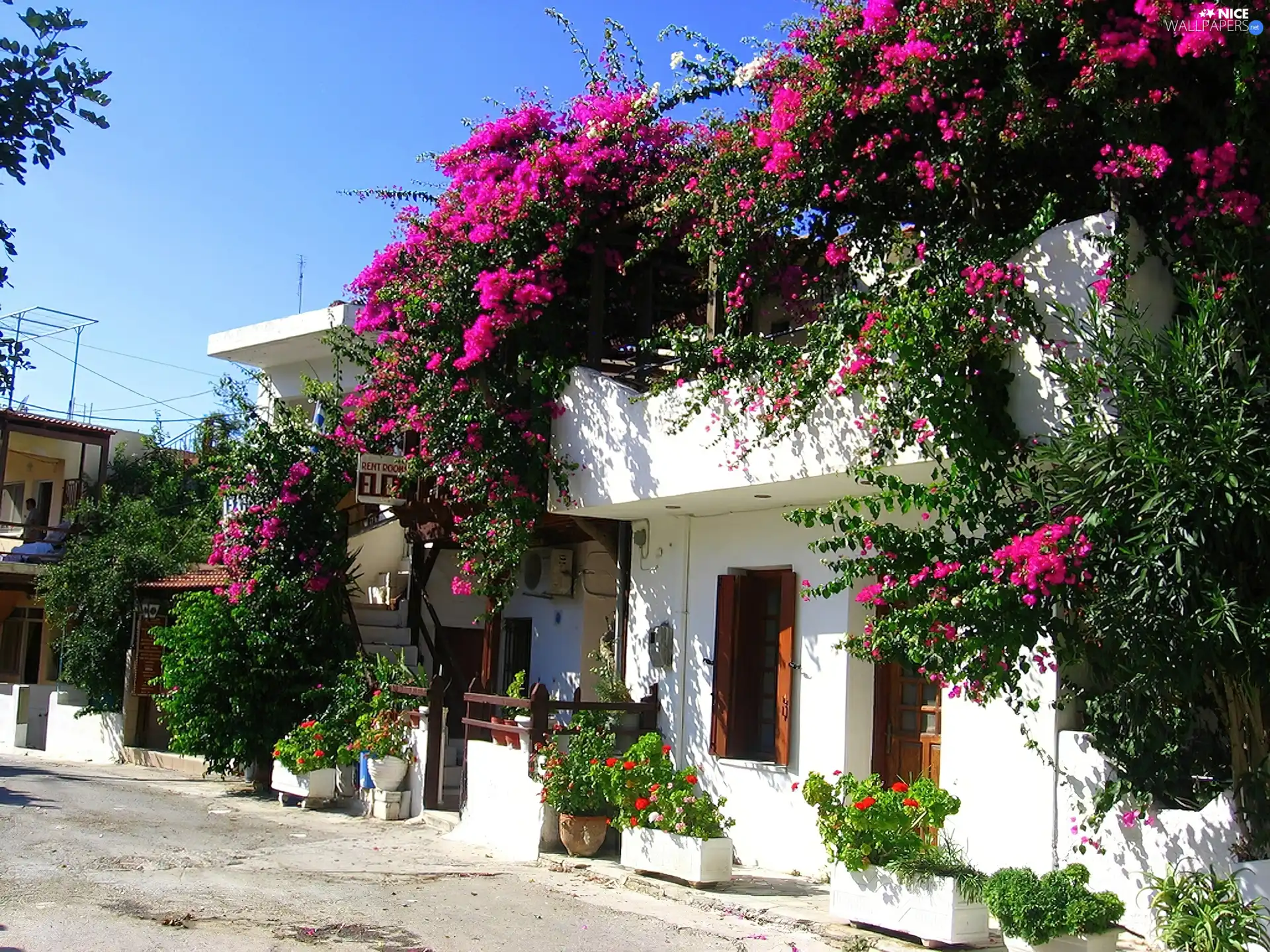 flowers, house, wrapped