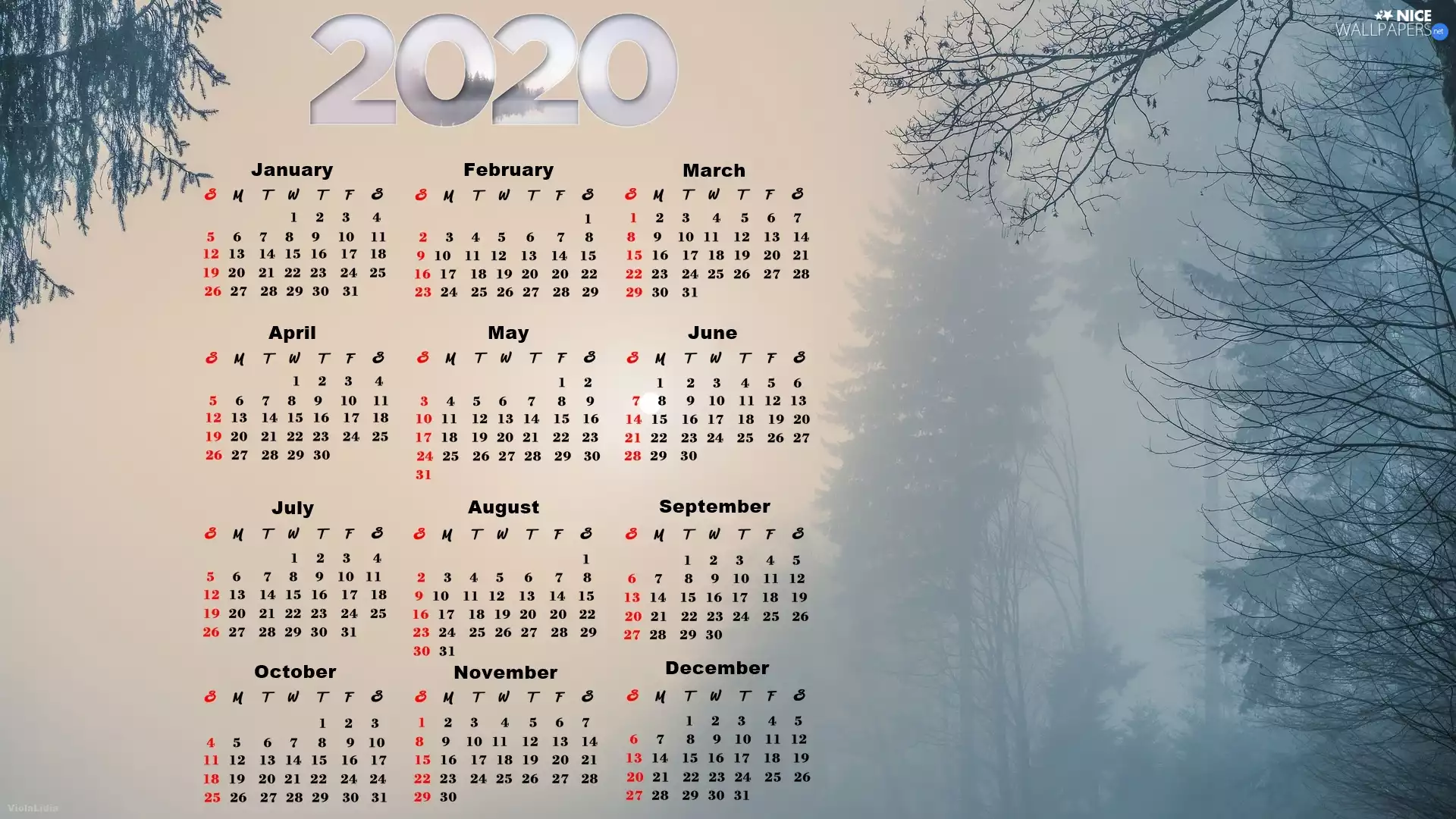 viewes, Fog, 2020, trees, Calendar