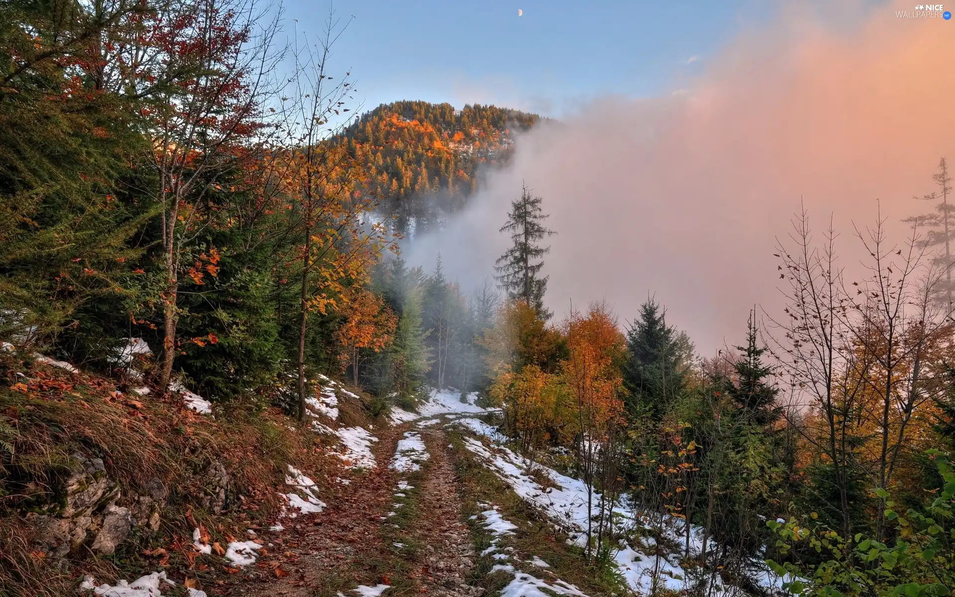 Fog, autumn, woods, Way, Mountains