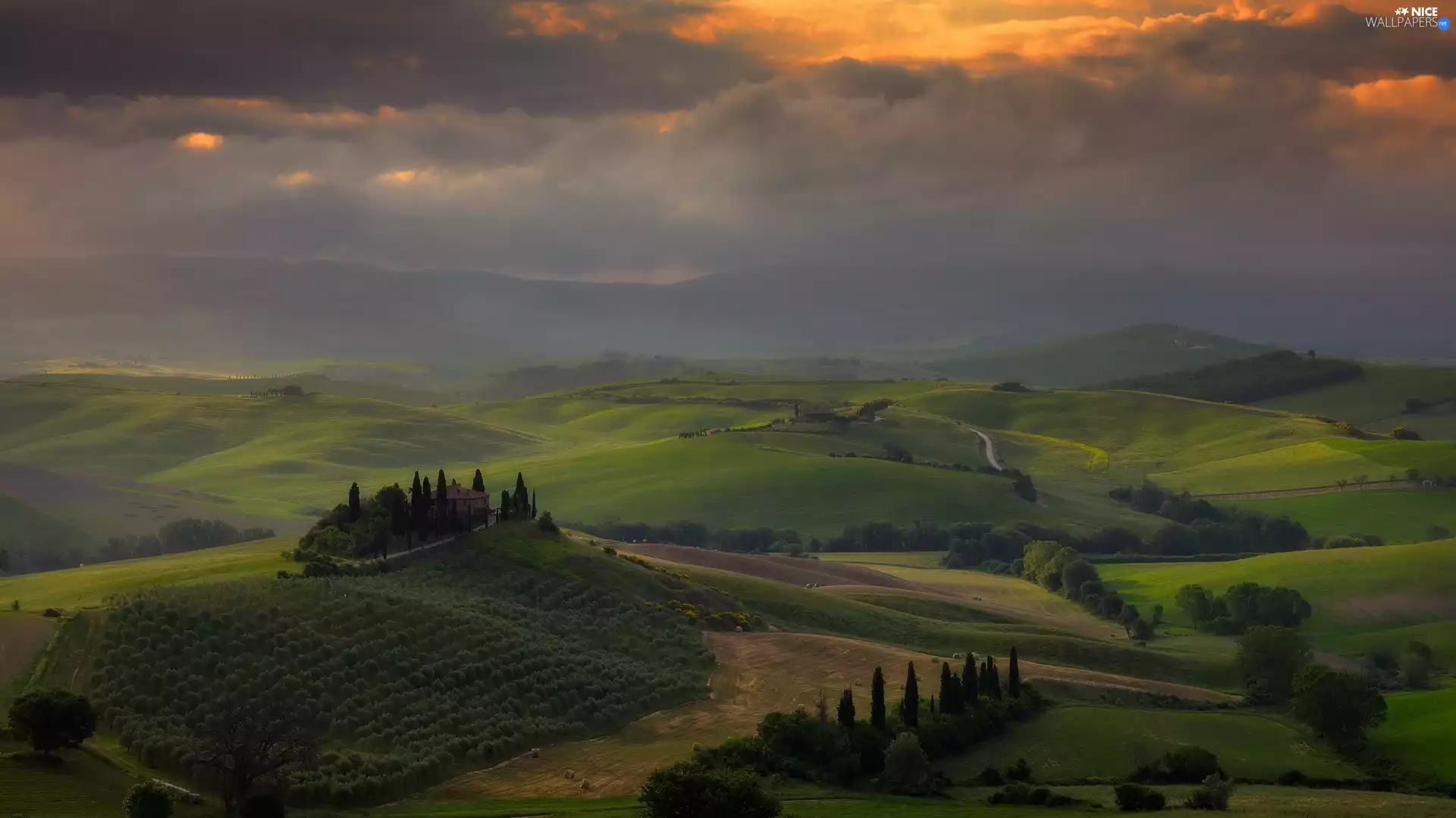 viewes, Tuscany, field, clouds, The Hills, Italy, Chianti Region, Fog, cypresses, trees