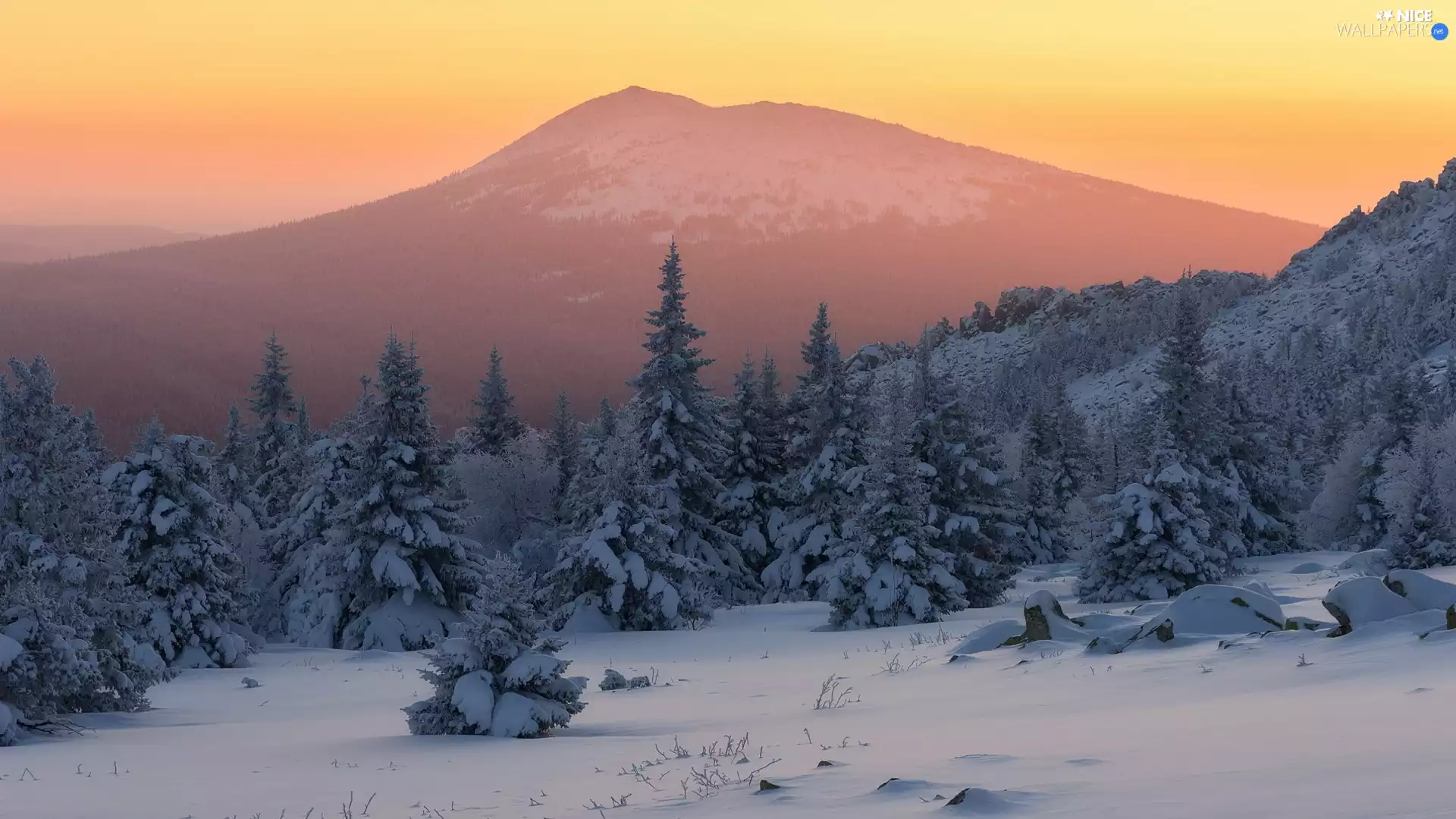 trees, winter, mountains, Fog, viewes, forest