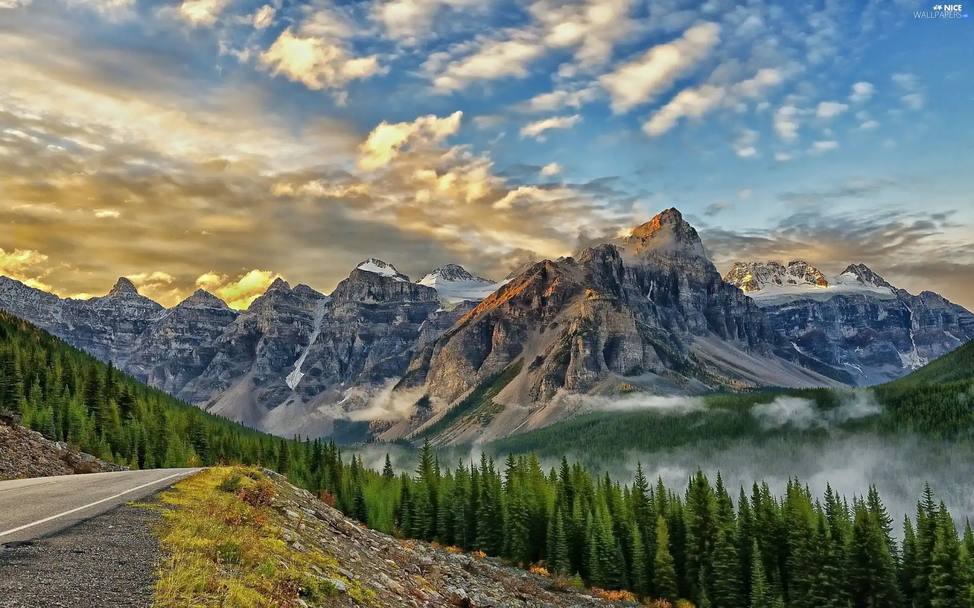 Fog, forest, sun, rocks, west