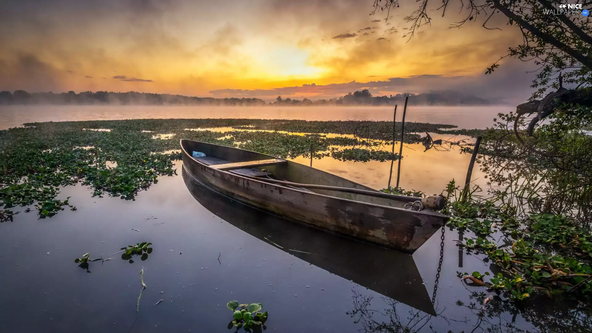 Boat, Fog, Great Sunsets, lake