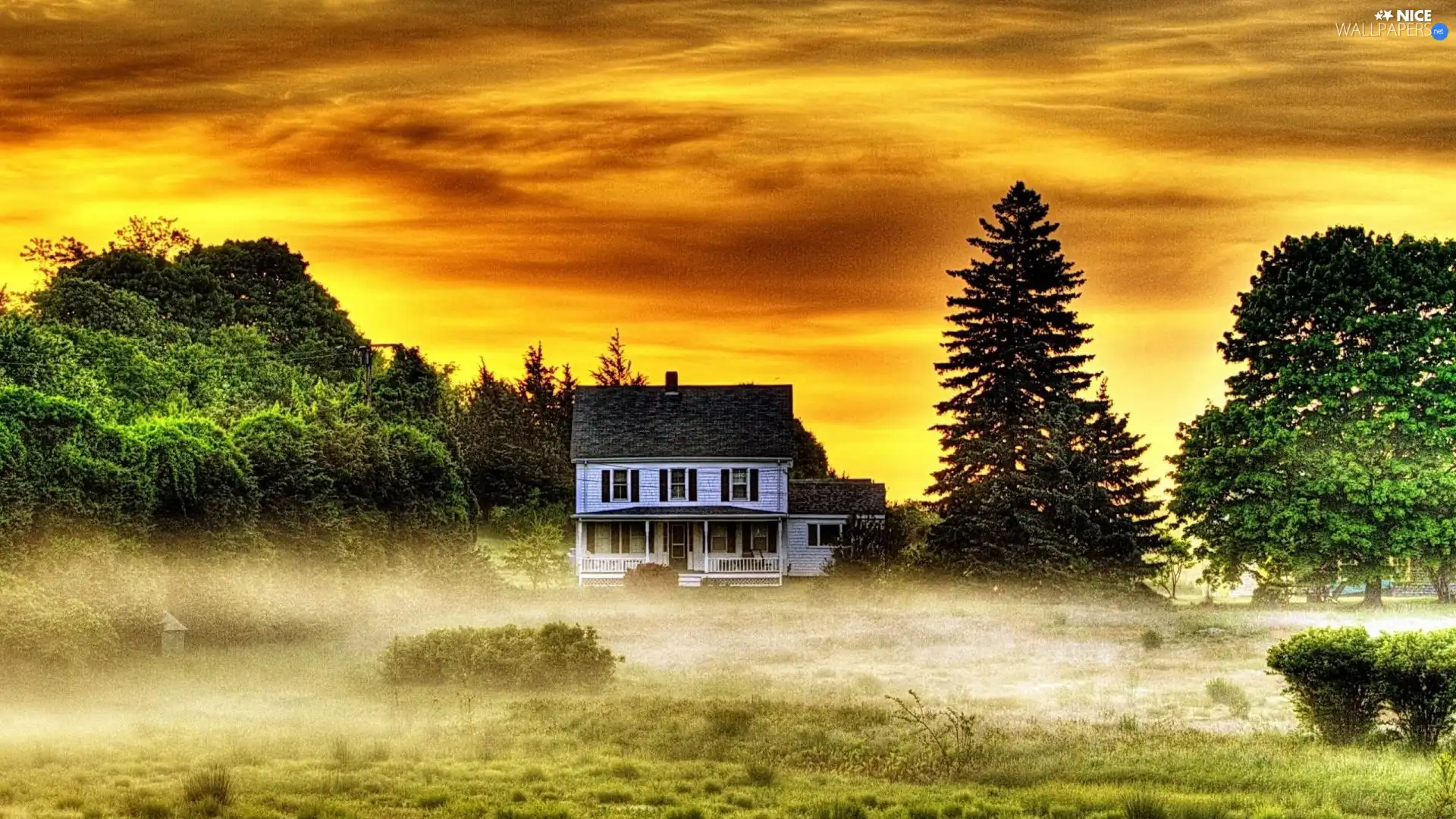 trees, west, Fog, house, viewes, sun