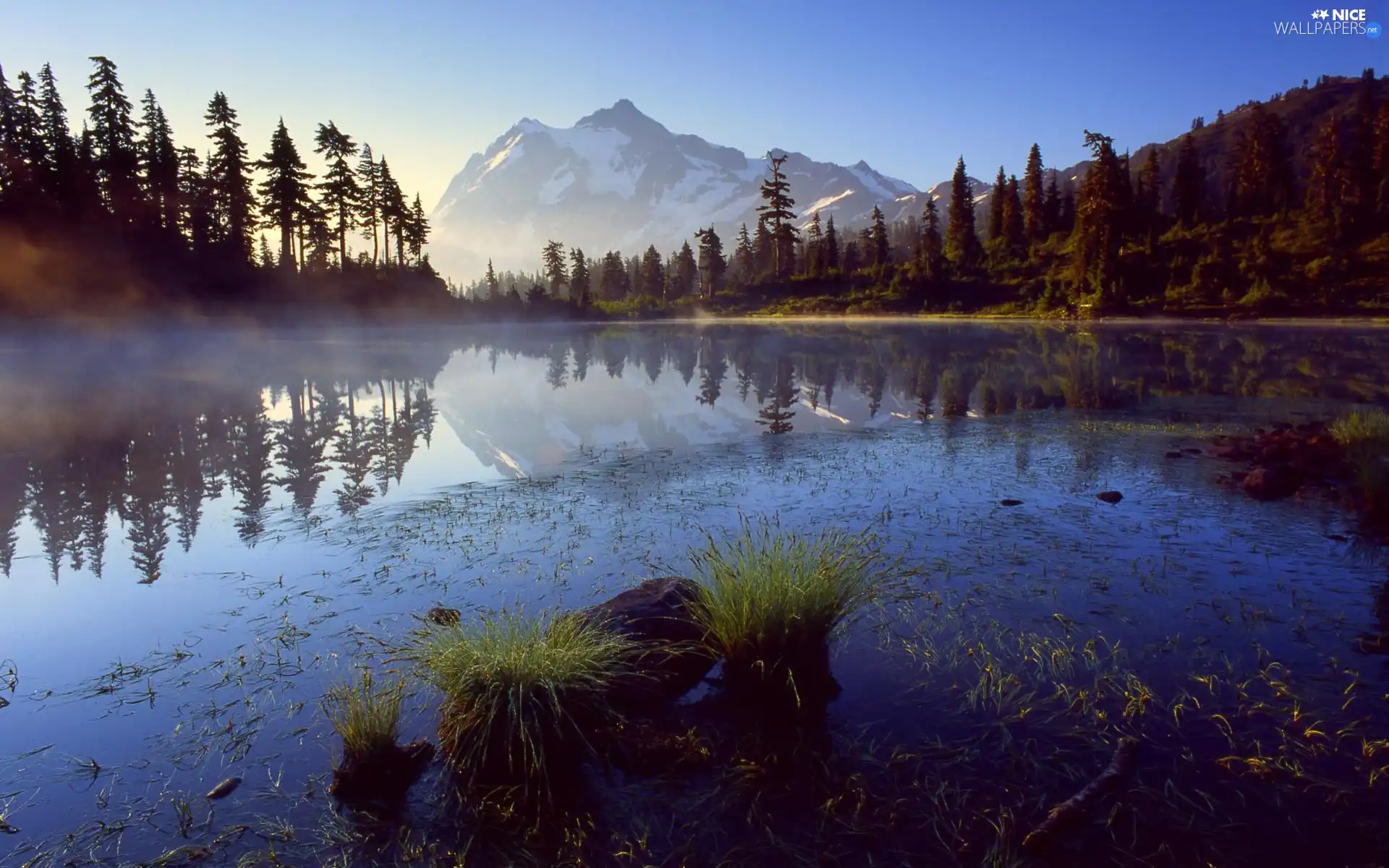 lake, Mountains, Fog, forest