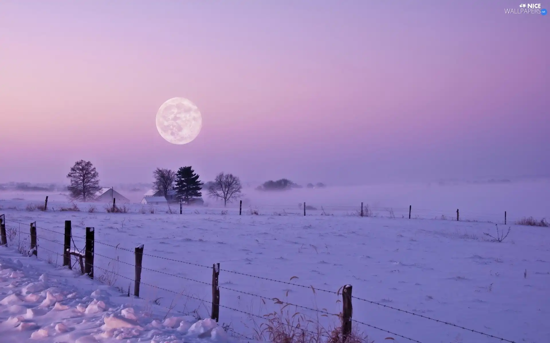 field, winter, Fog, moon, snow, twilight