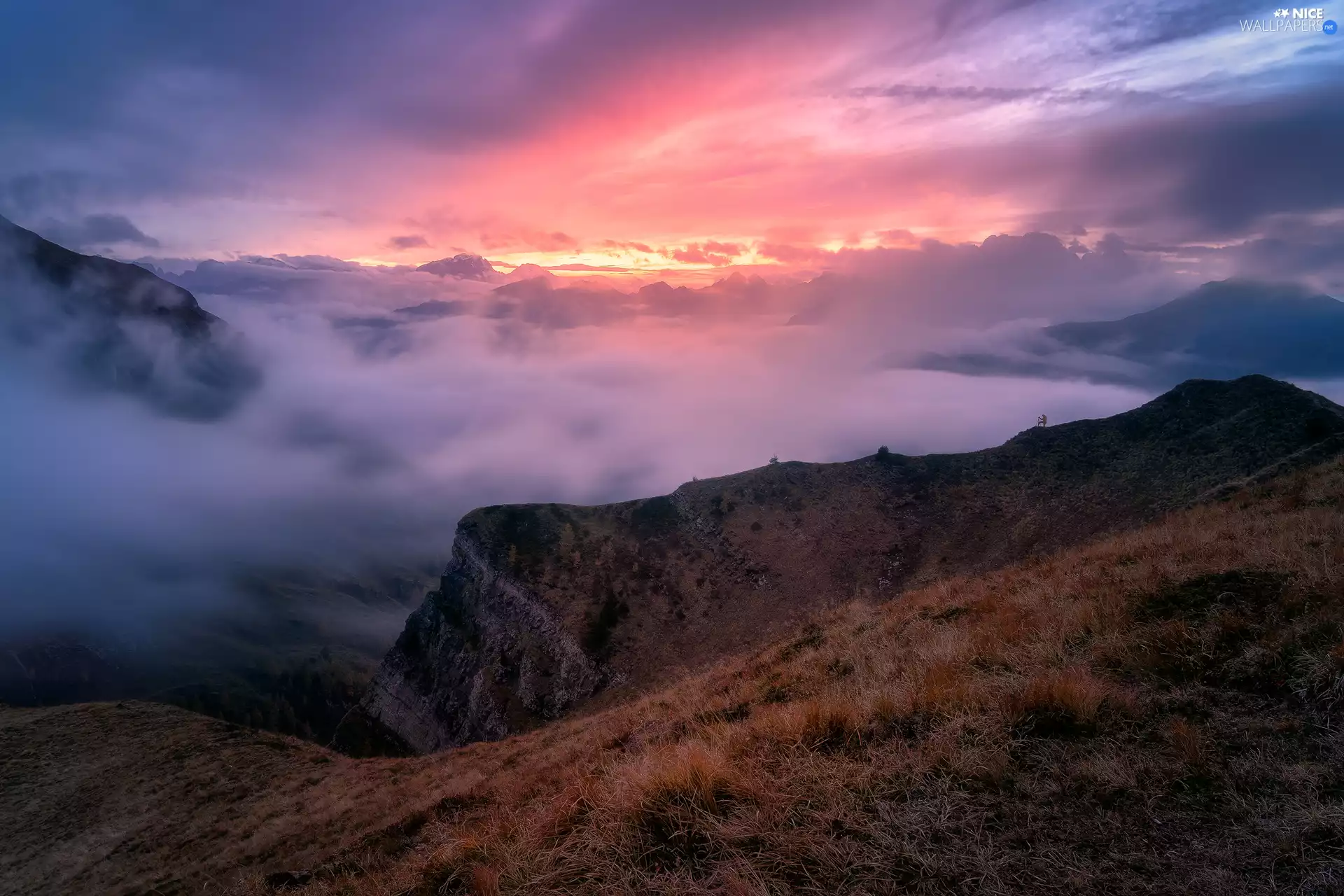Mountains, Sunrise, grass, Fog