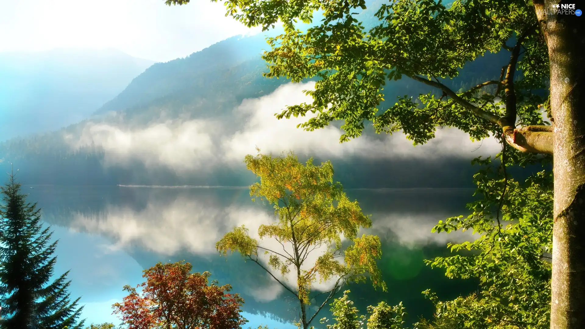 Mountains, lake, Fog, woods