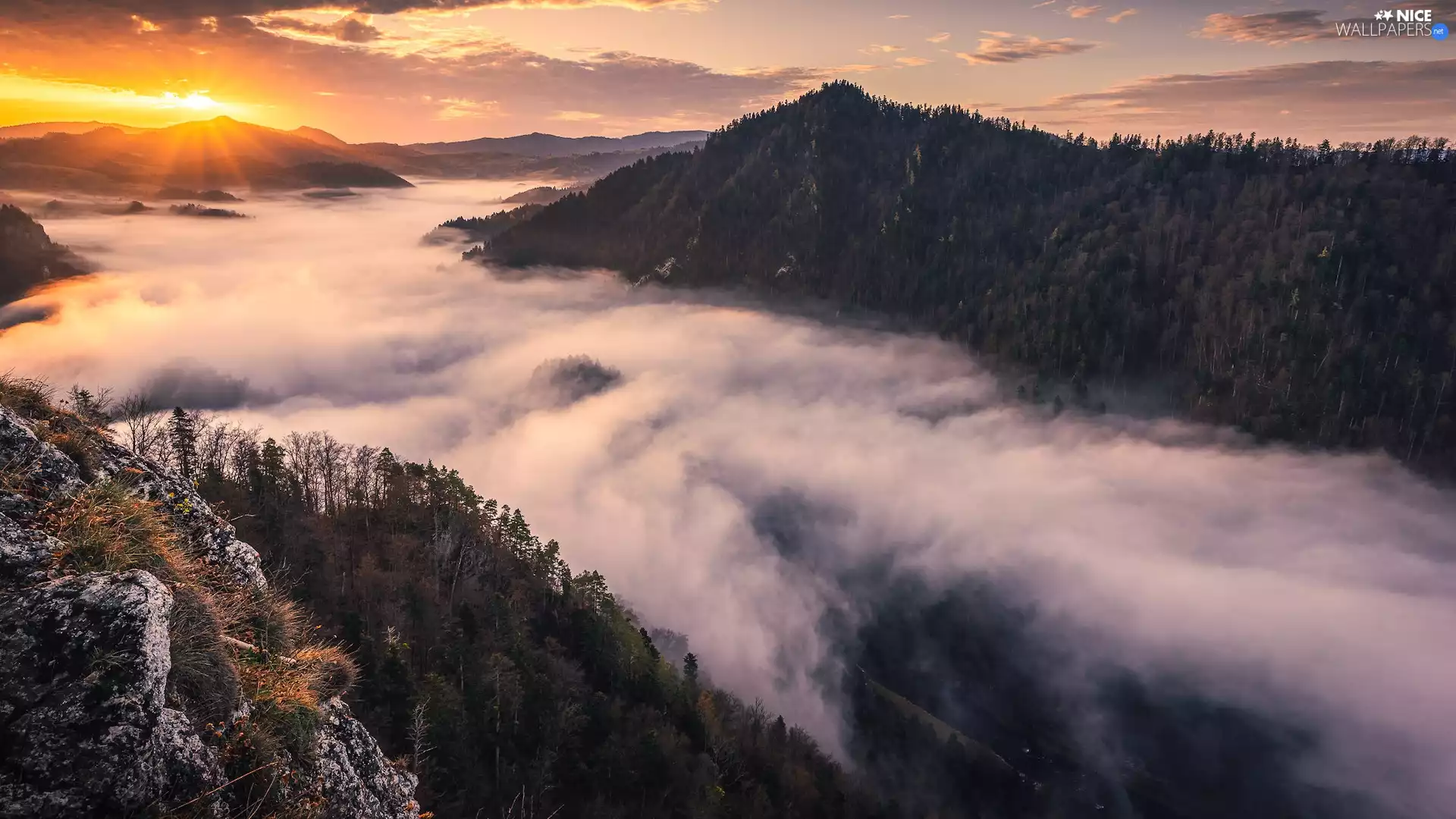 Pieniny, Poland, rocks, Fog, Sunrise, Mountains