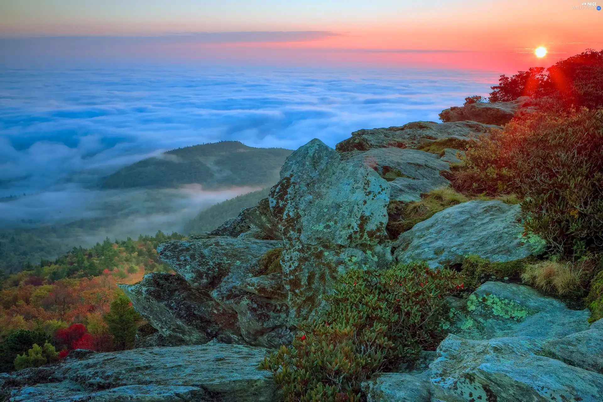VEGETATION, Great Sunsets, Fog, rocks, Mountains