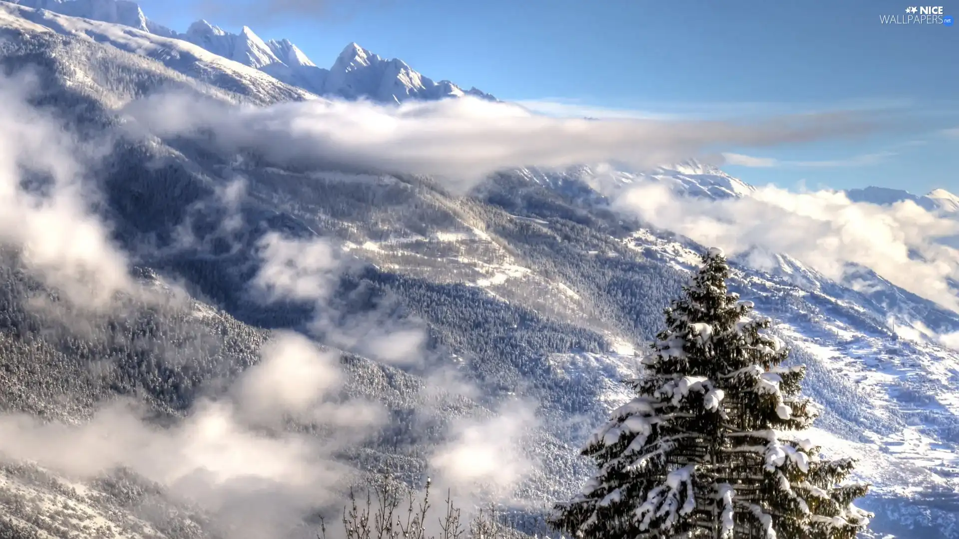 Fog, winter, Mountains