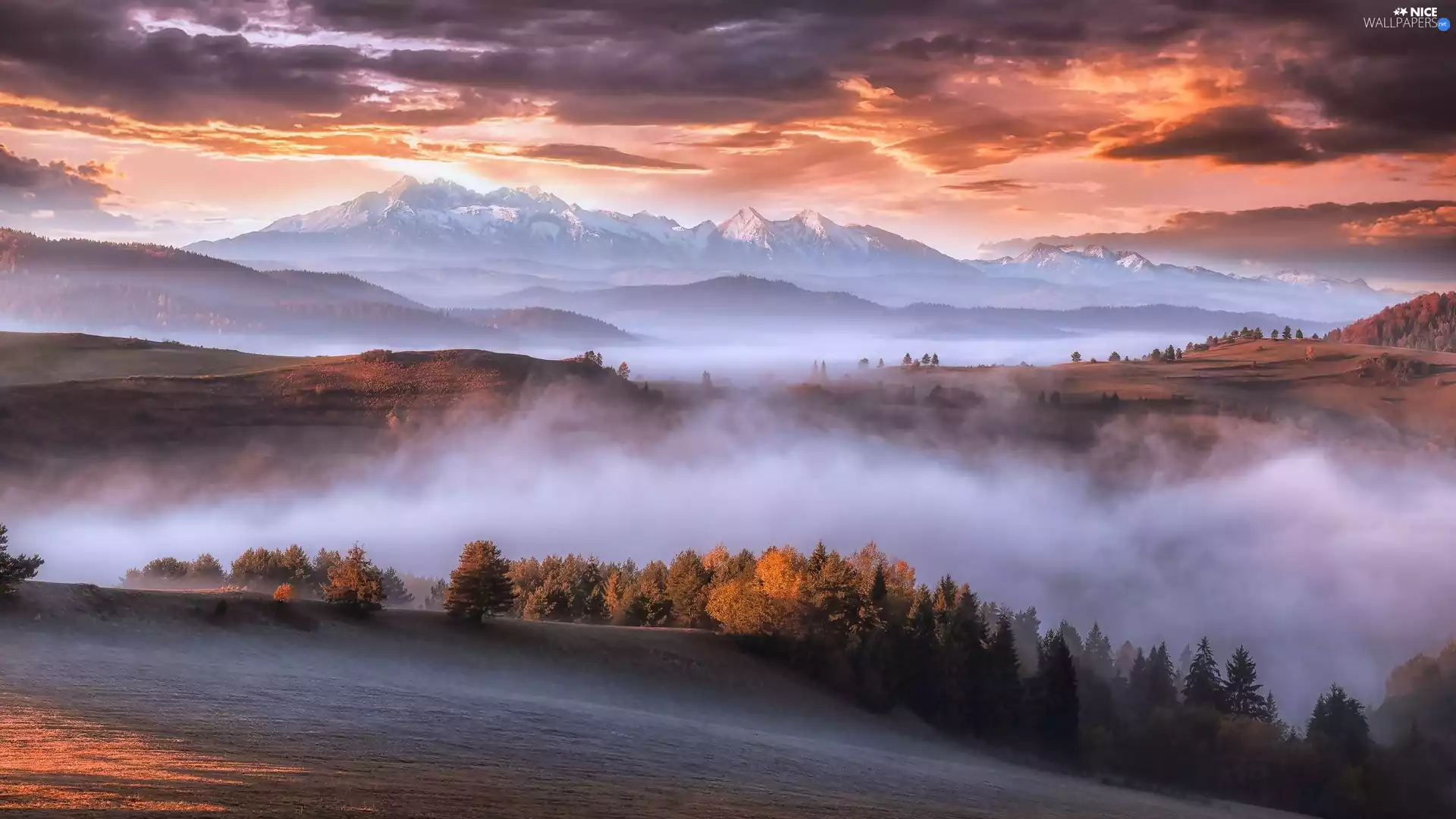 clouds, Sunrise, woods, Fog, Carpathian Mountains
