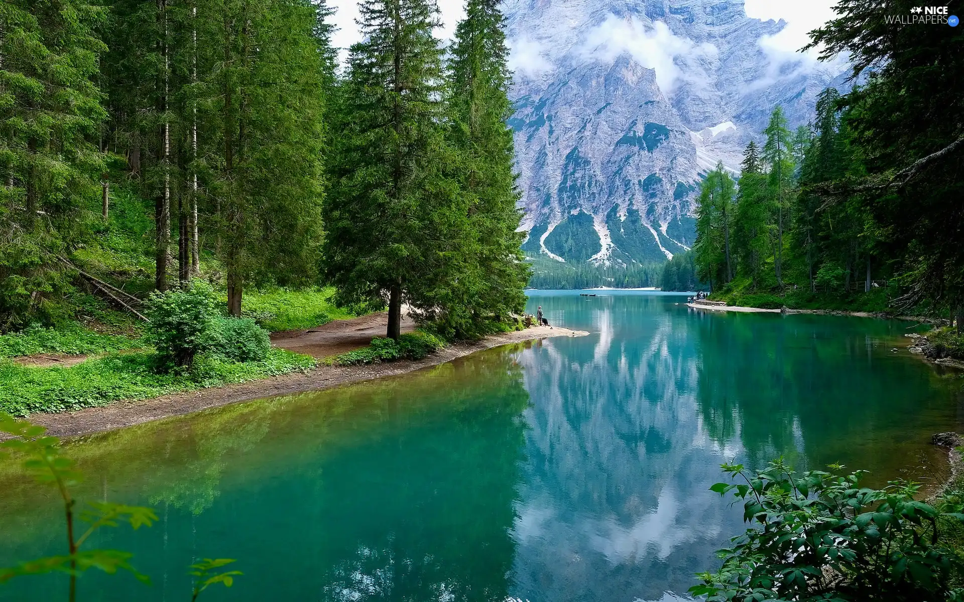 South Tyrol, Italy, lake, Pragser Wildsee, Fog, reflection, trees, viewes, Mountains