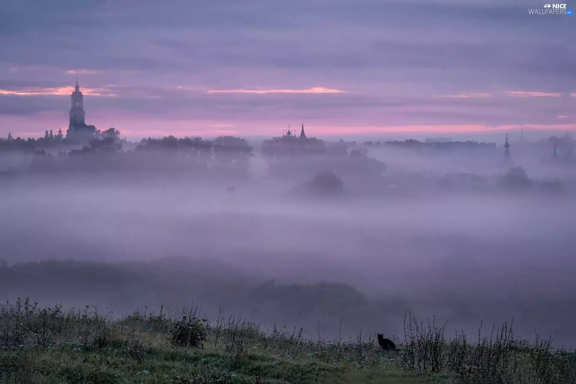 Town, clouds, tower, Fog, Sunrise, Cerkiew, cat