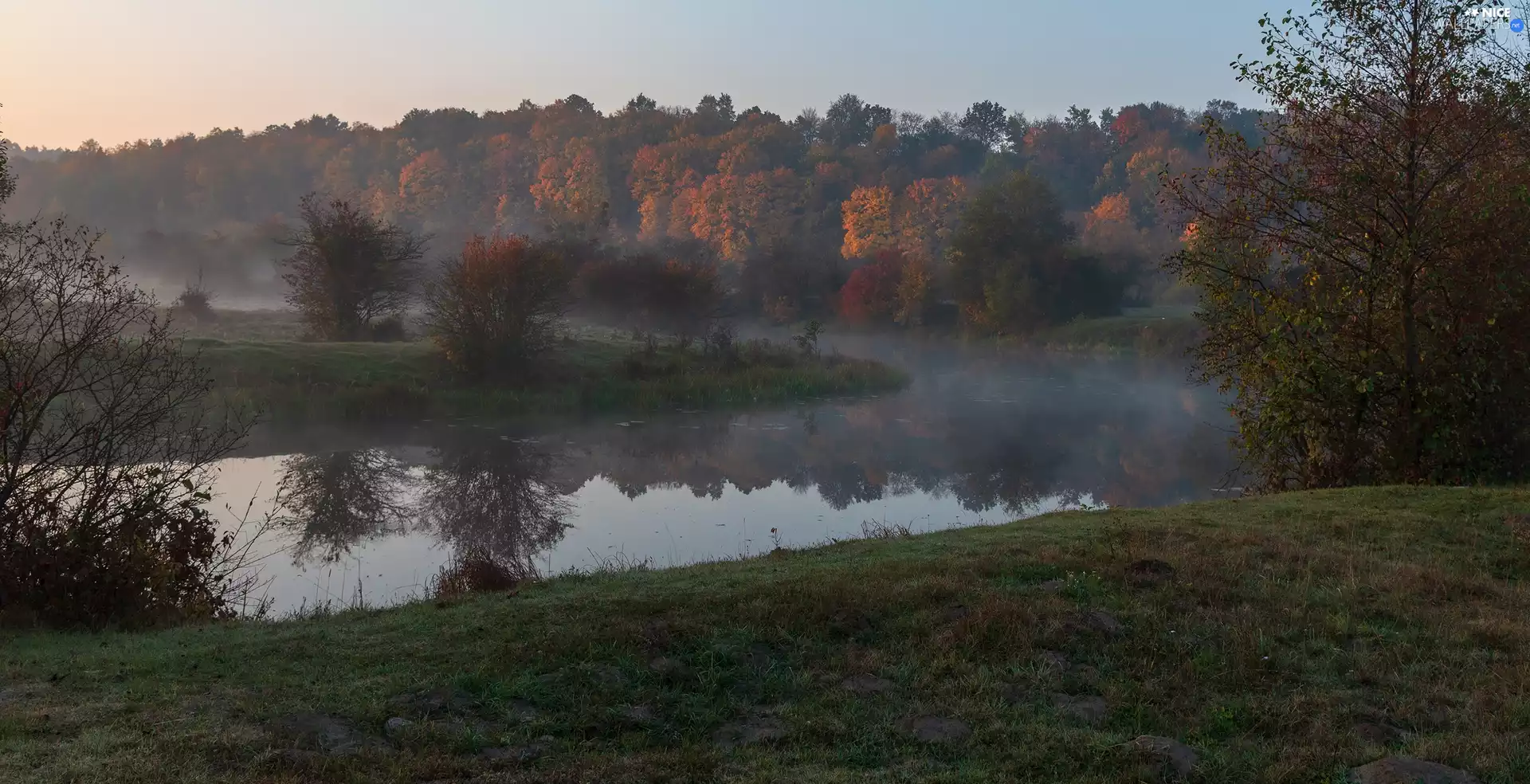 autumn, Fog, trees, viewes, River