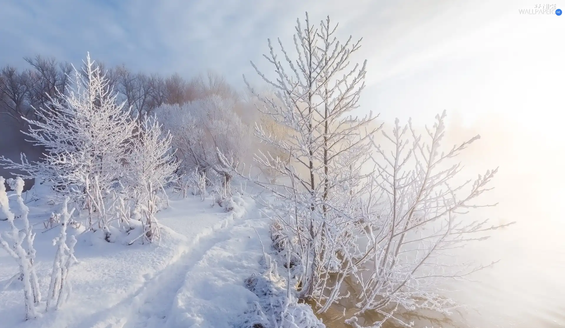 viewes, winter, River, Fog, Path, trees