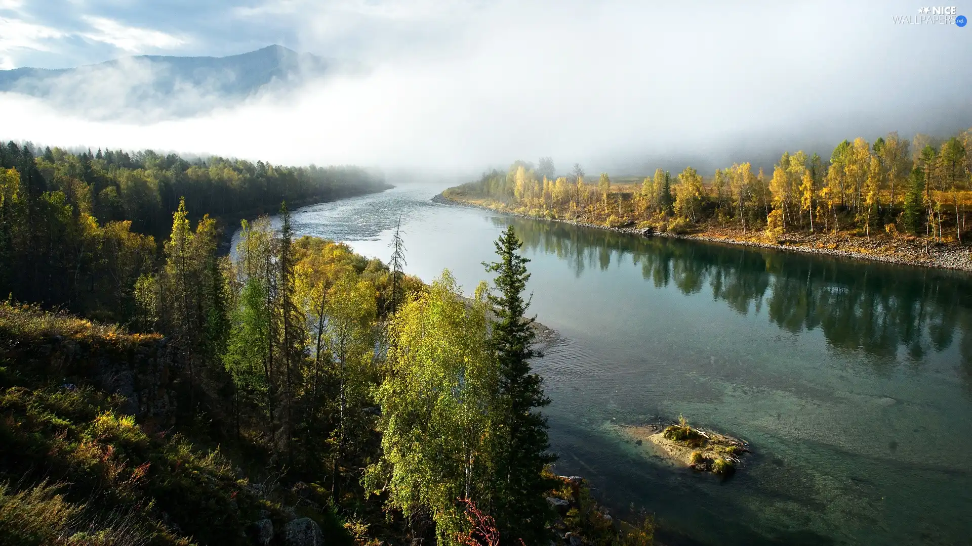 woods, Fog, trees, viewes, River