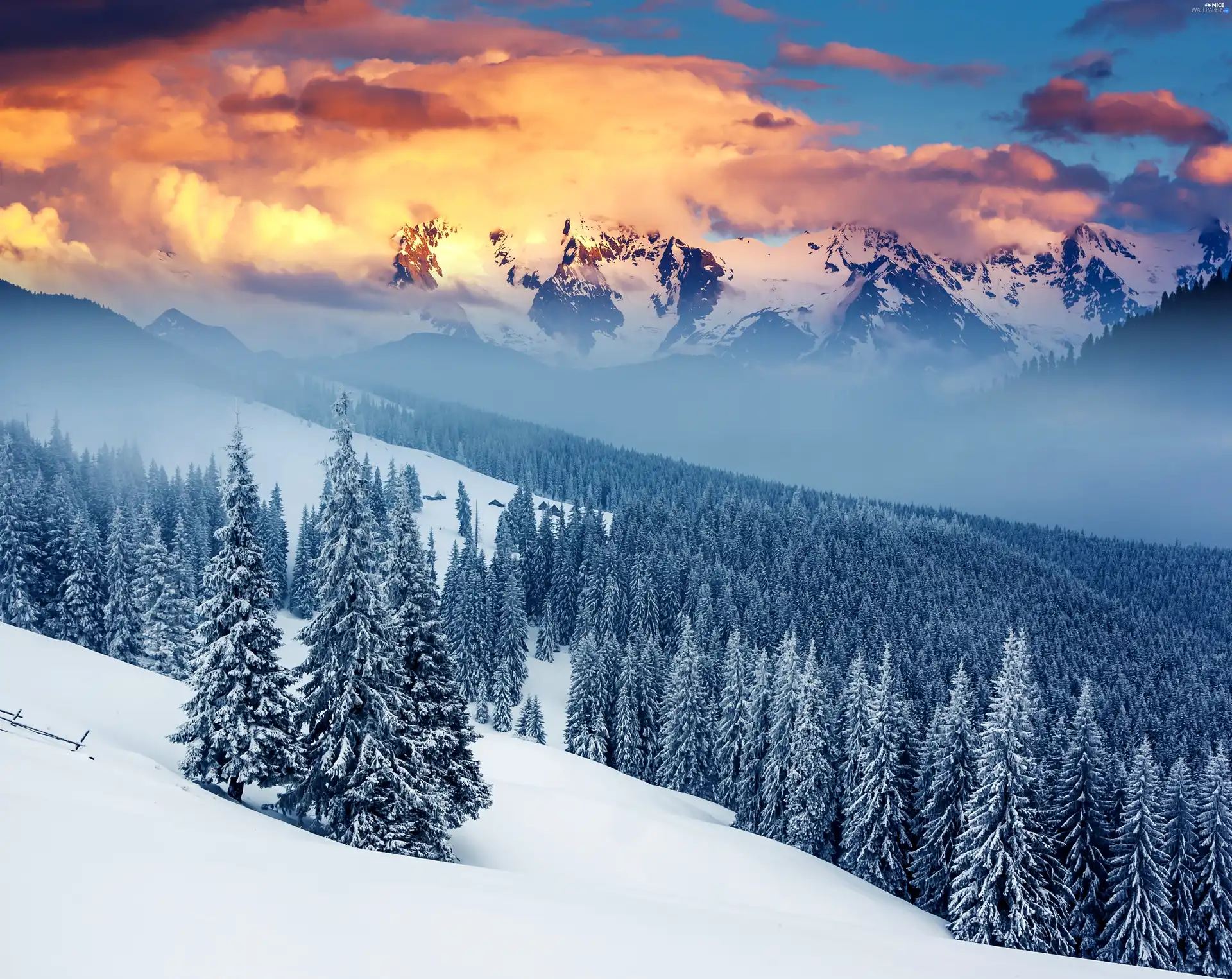 ligh, Mountains, trees, flash, viewes, winter, Fog, luminosity, sun, Przebijające