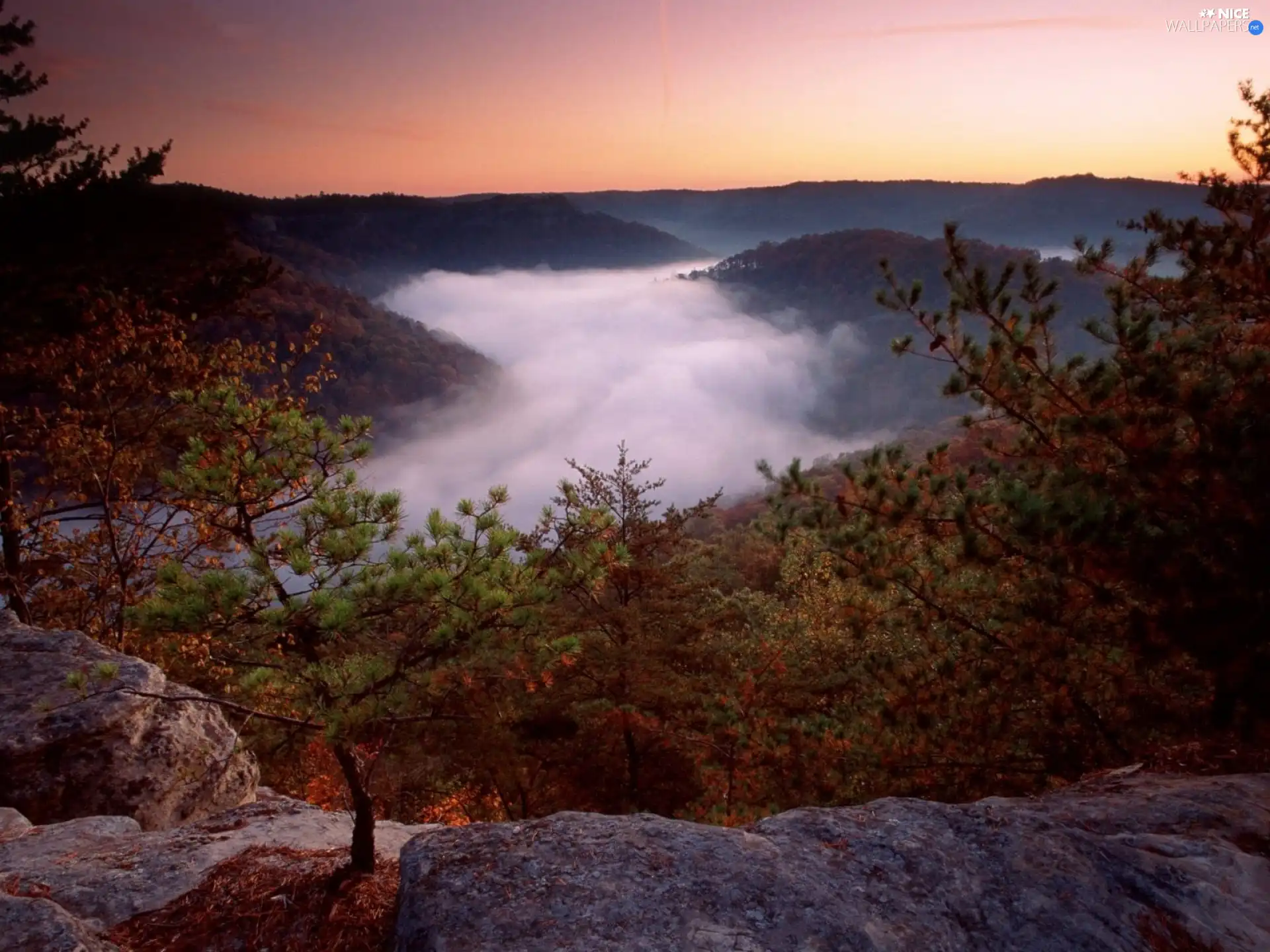 Fog, Mountains, Valley