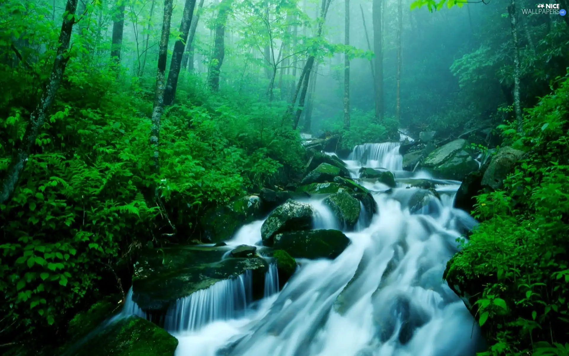 waterfall, Stones, Fog, forest