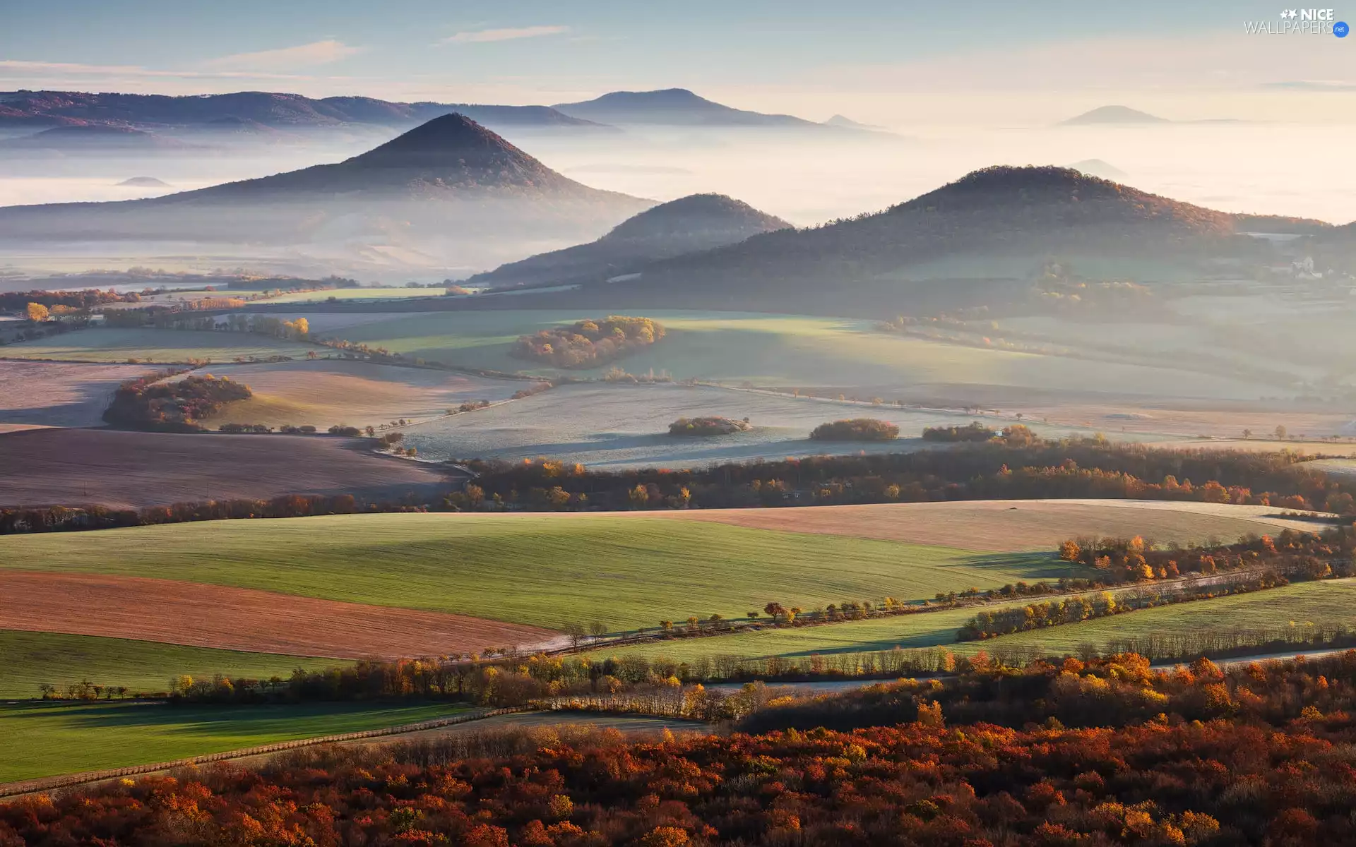 medows, Mountains, woods, Fog, field, The Hills