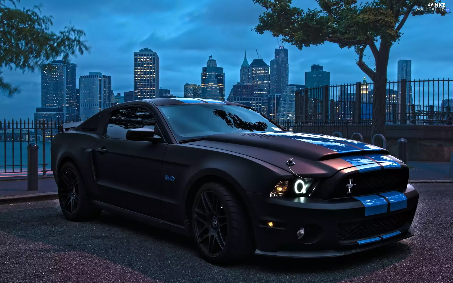 Ford Mustang, parking