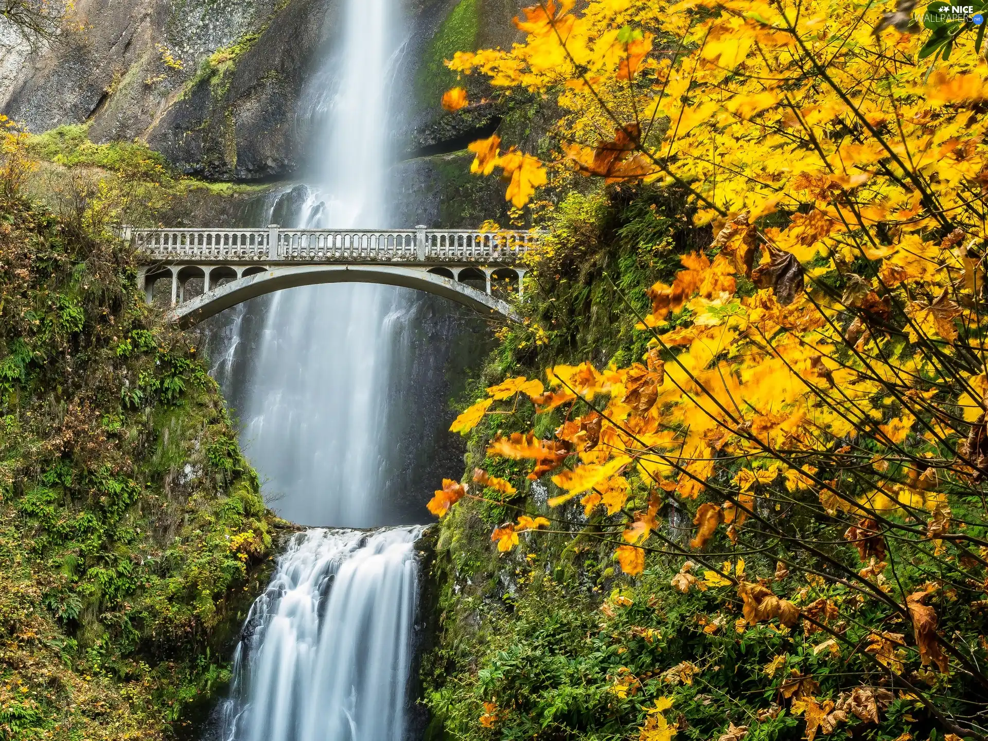 autumn, bridge, forest, waterfall