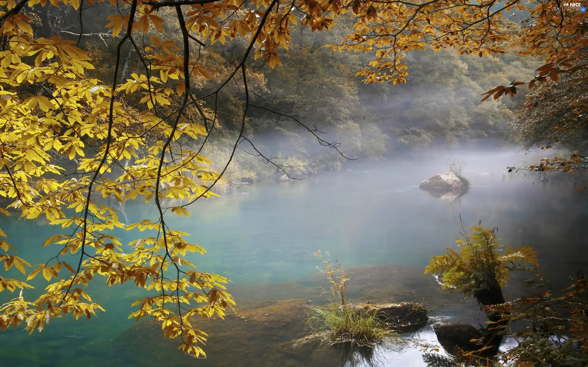 forest, autumn, Stones, Fog, River