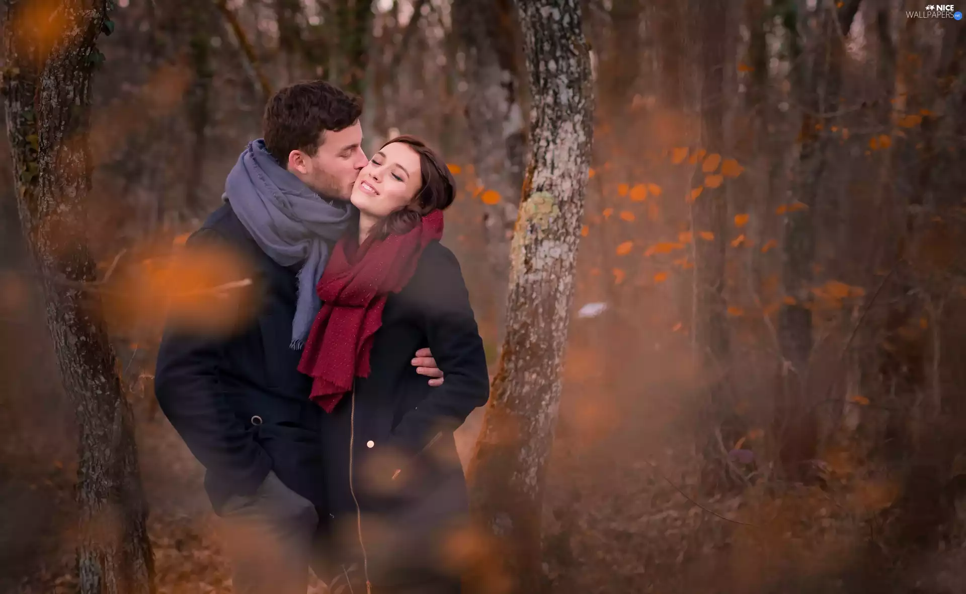 Women, forest, blur, a man