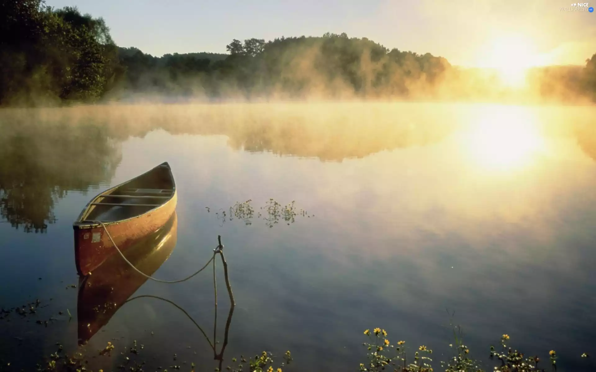 lake, sun, Boat, forest, west, water, Fog