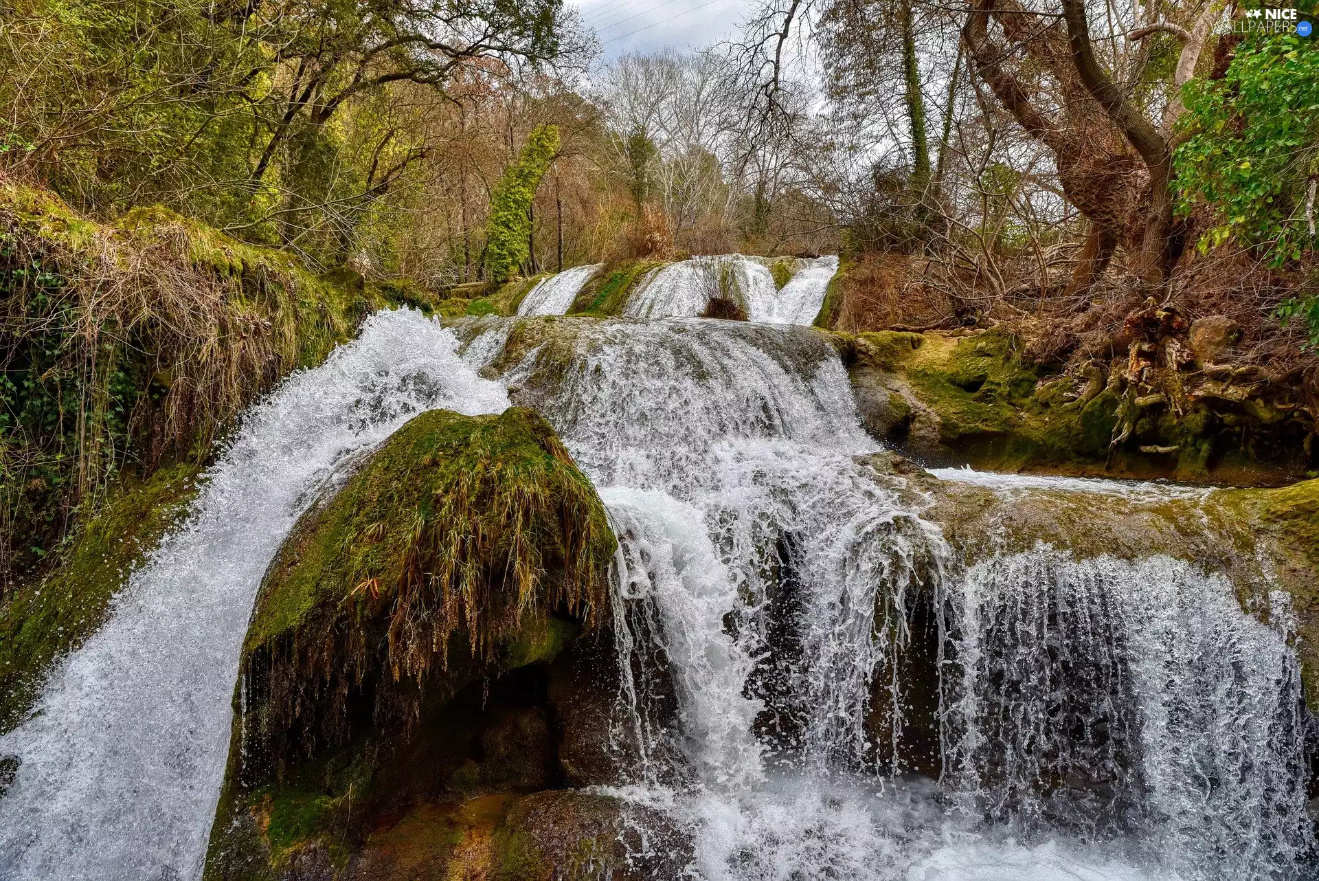 rocks, forest, cascade, mossy, waterfall