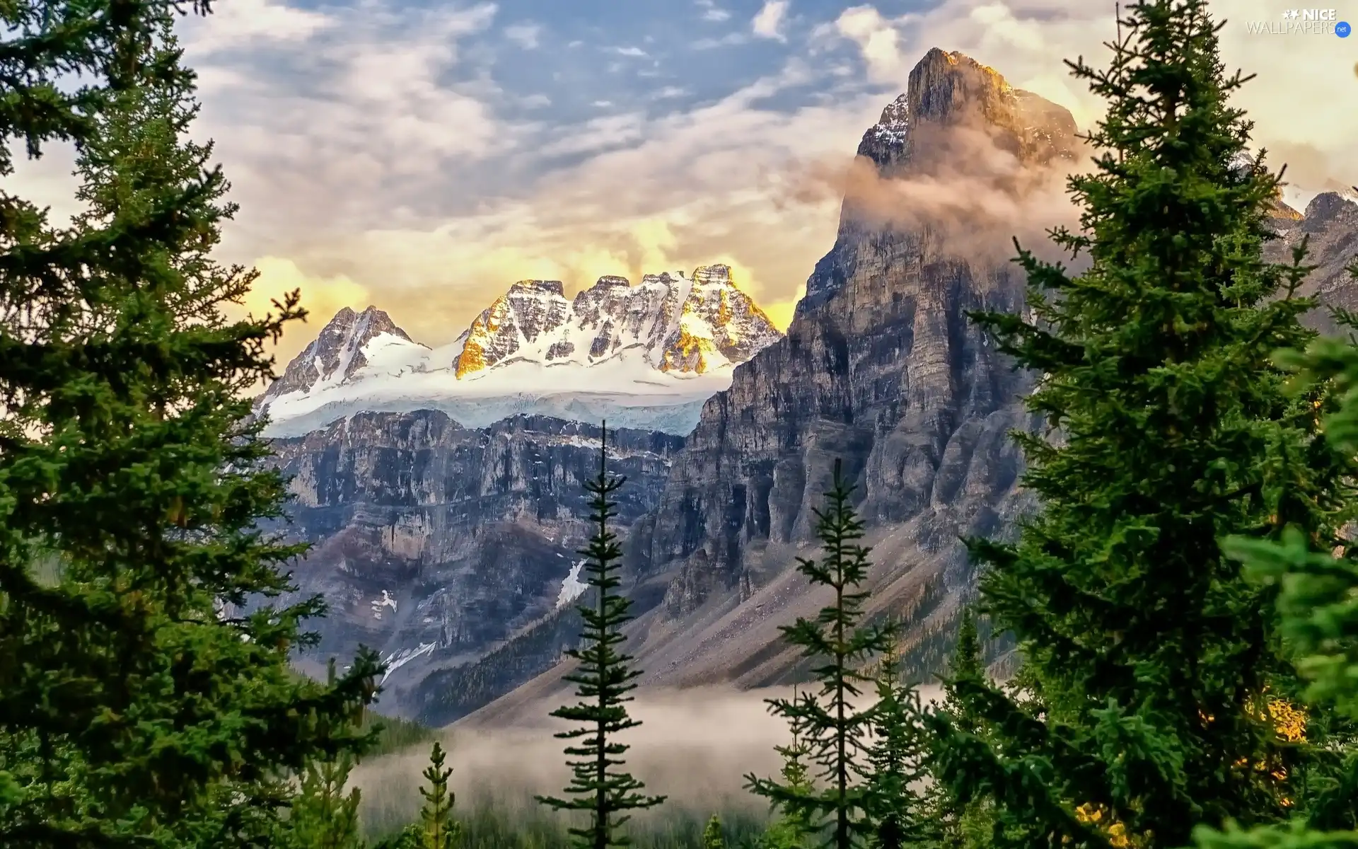 forest, Mountains, clouds